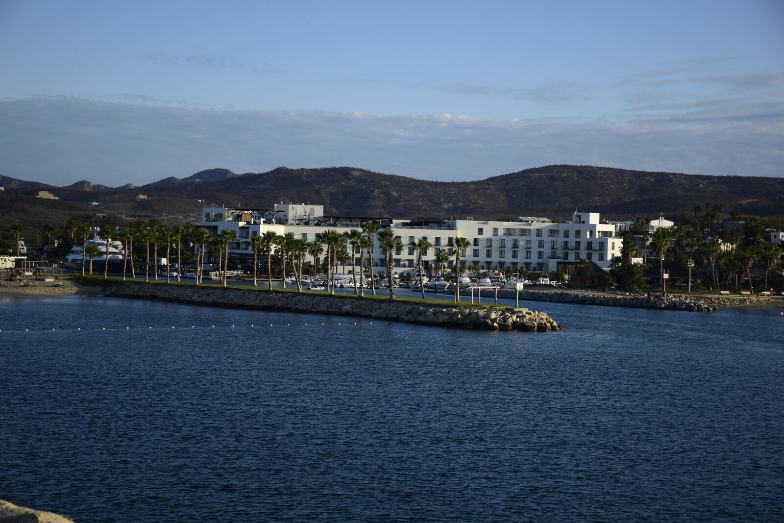 EL Ganso Beach Club image 6
