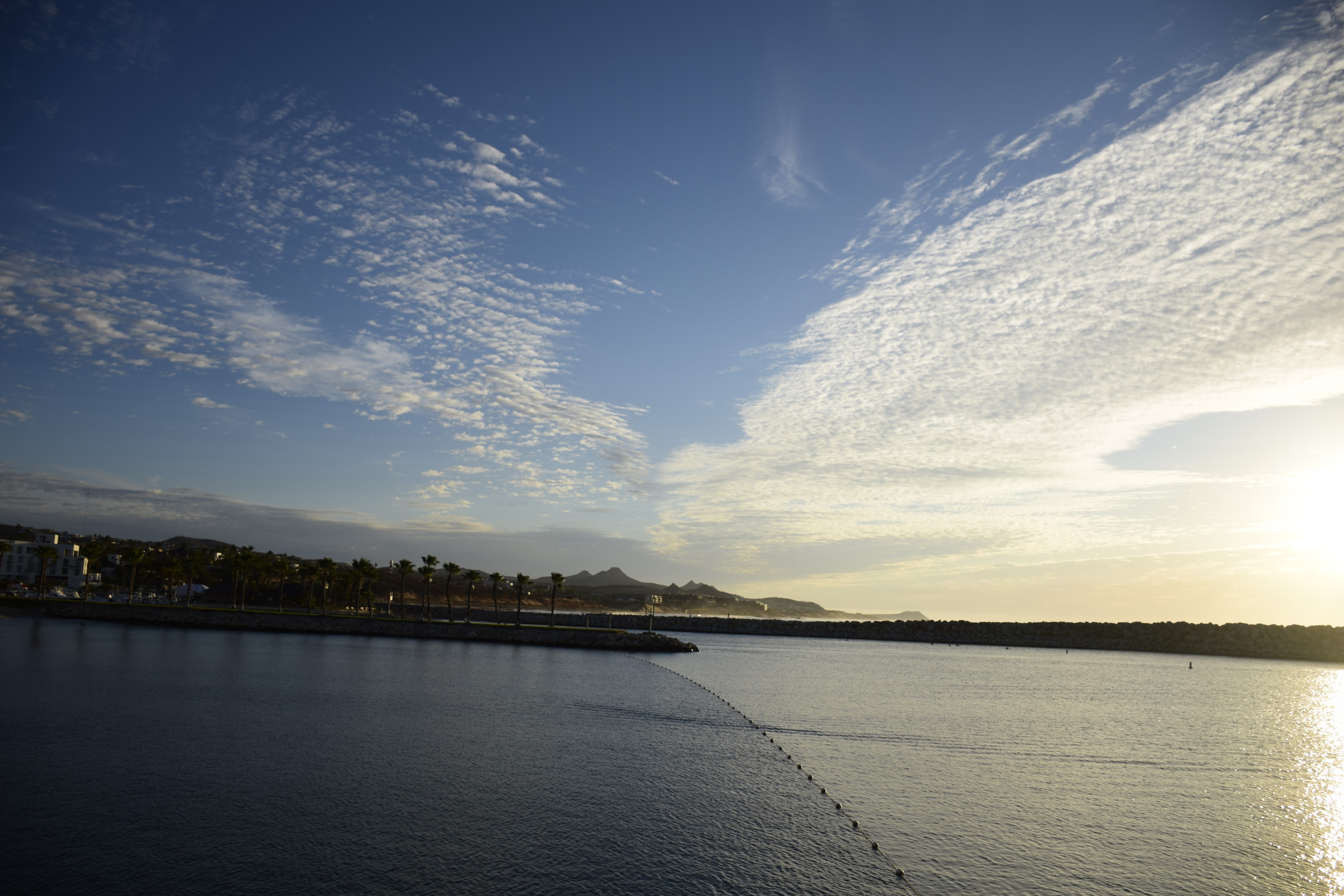 EL Ganso Beach Club image 9