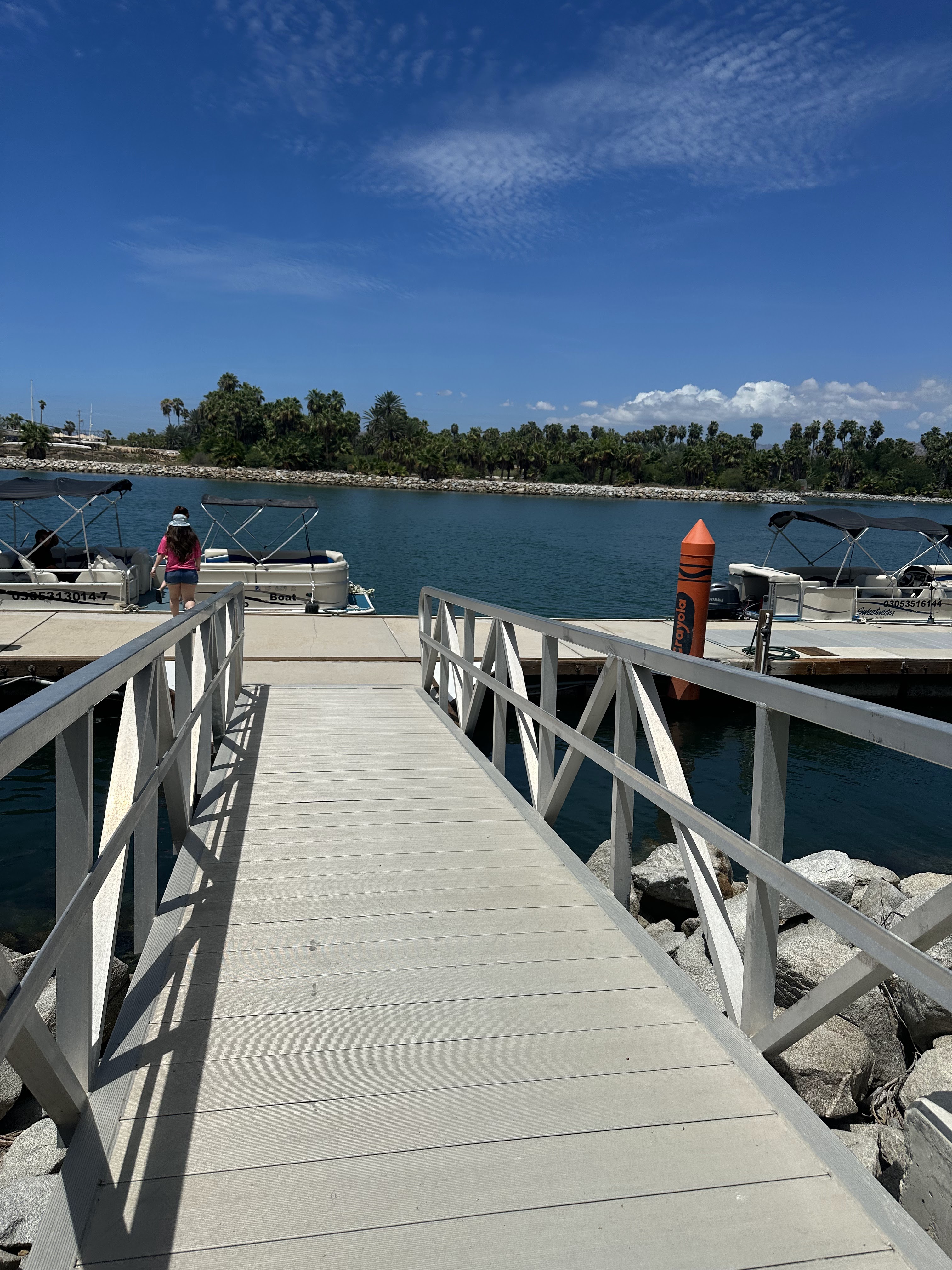 EL Ganso Beach Club image 10