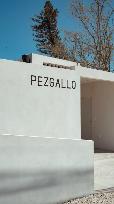 PEZGALLO image 4