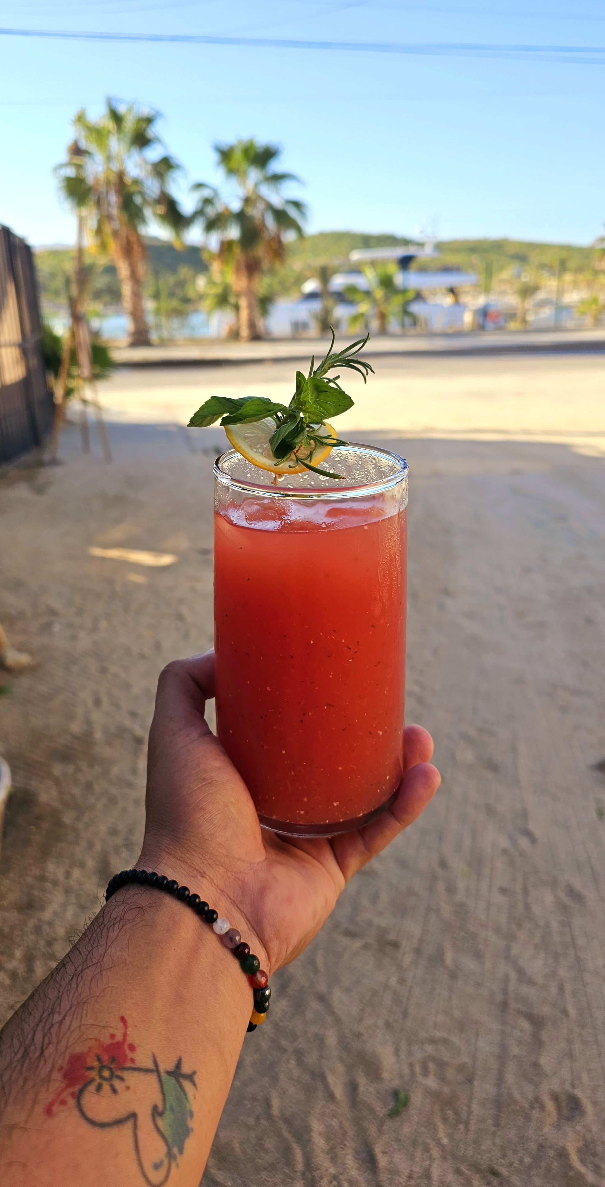 Sabor Marino image 4