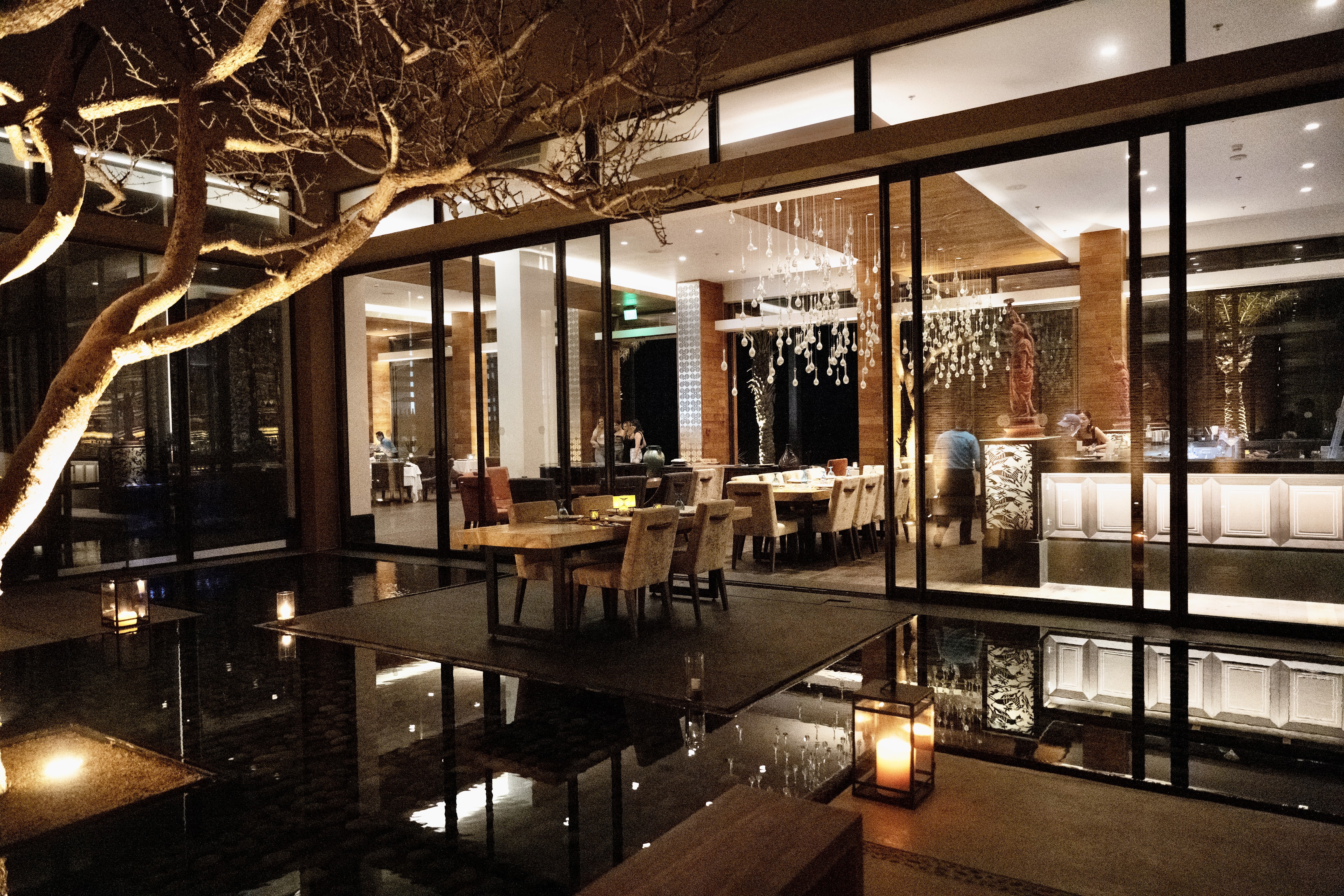 Café des Artistes Los Cabos image 4