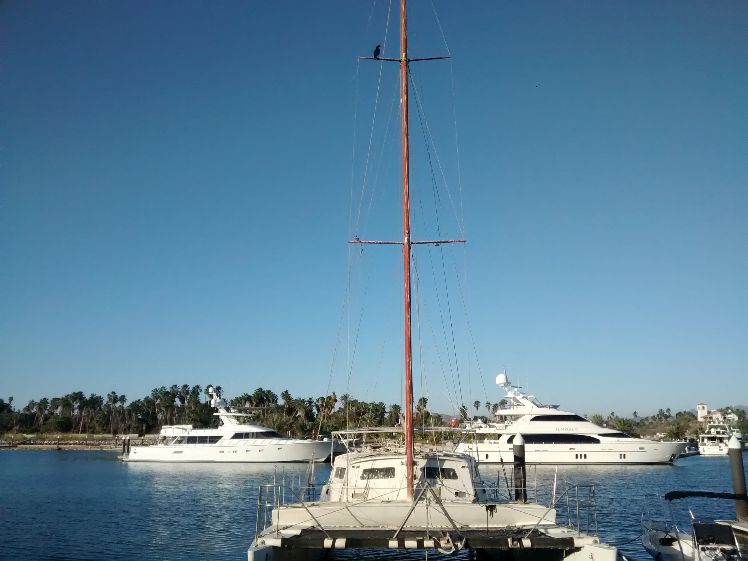 CAFE EL PUERTO image 7