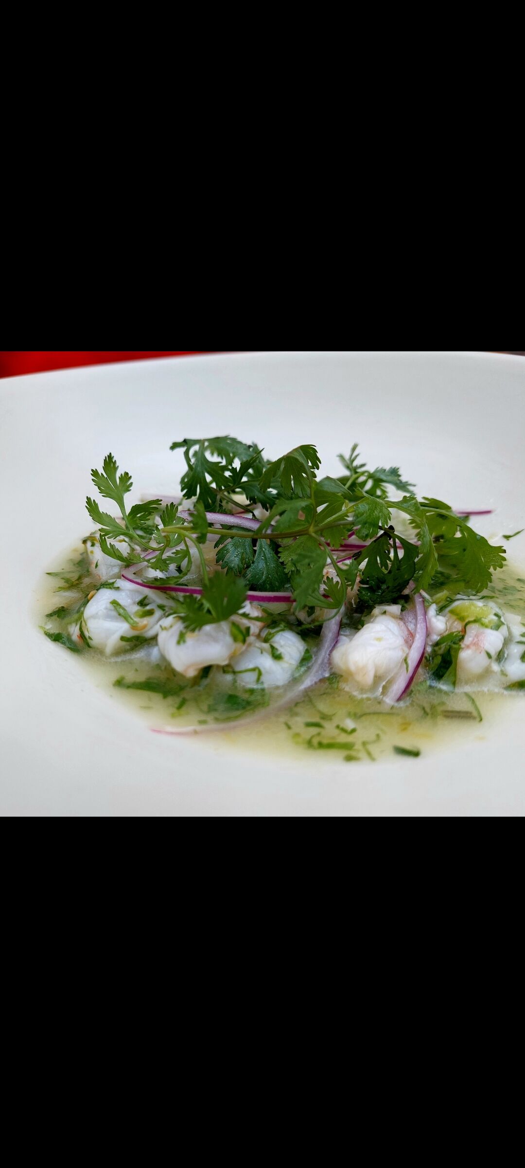 Mestizo Cocina Libre image 3