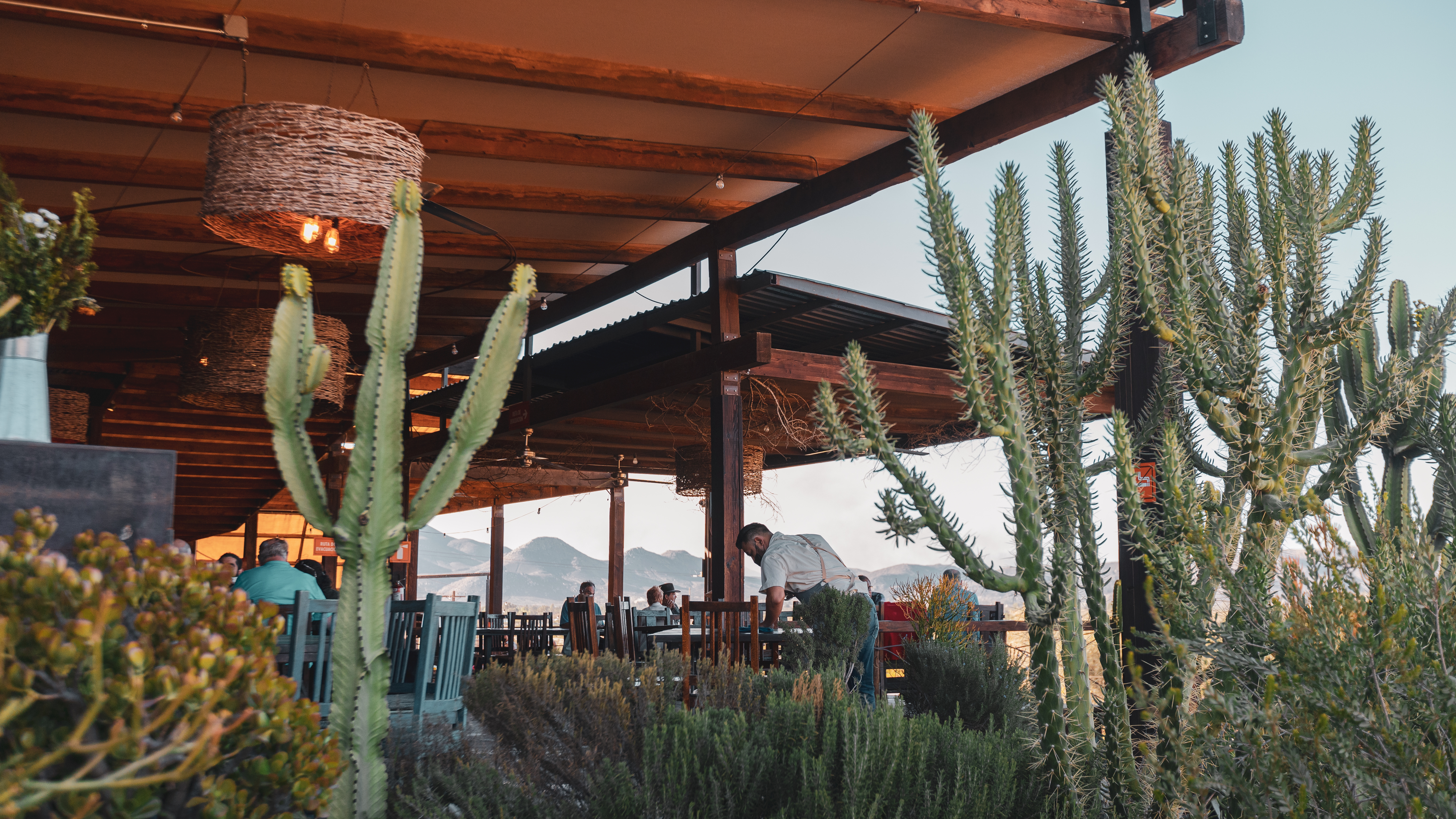 Finca Altozano image 4