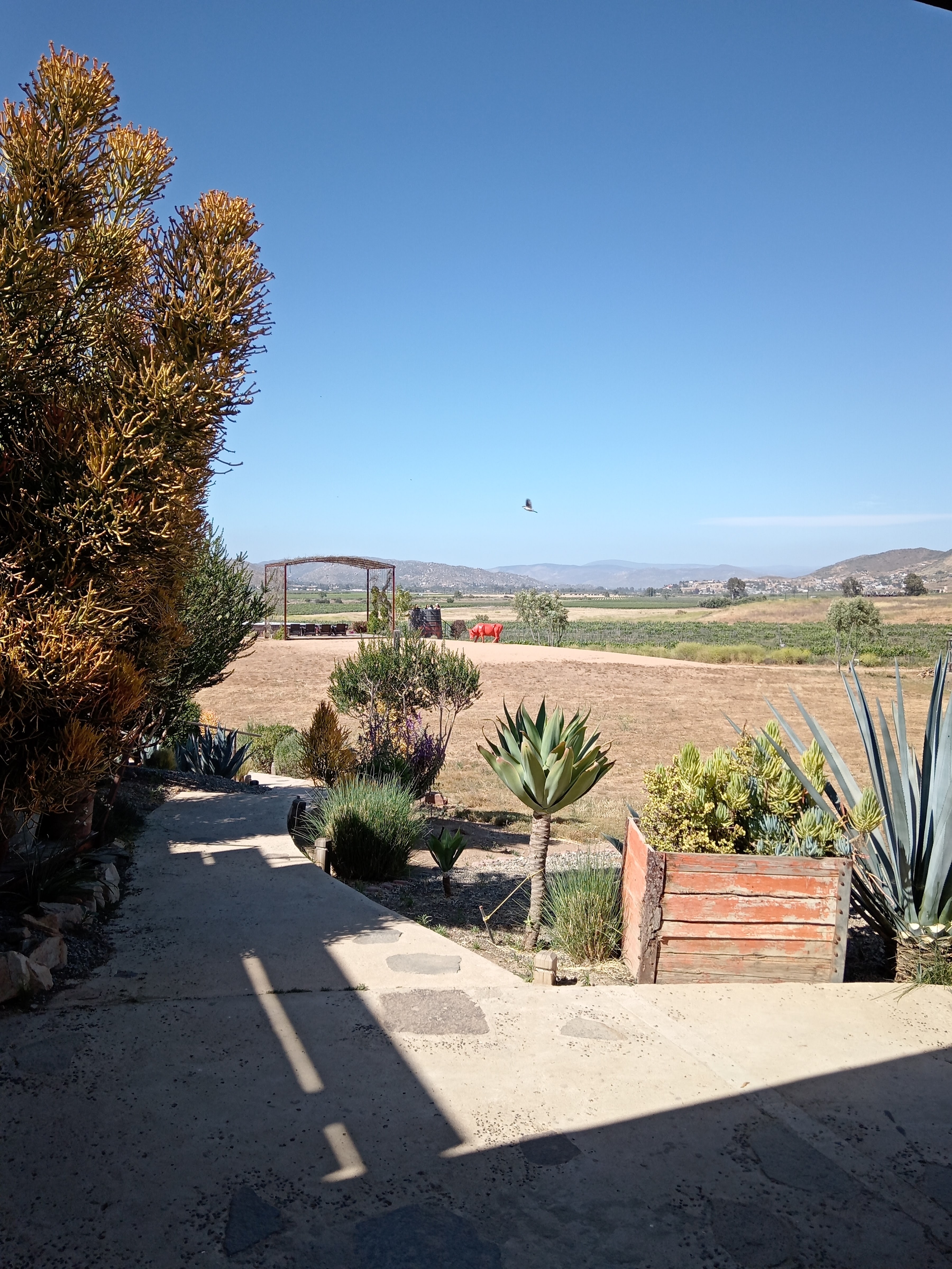 Finca Altozano image 6