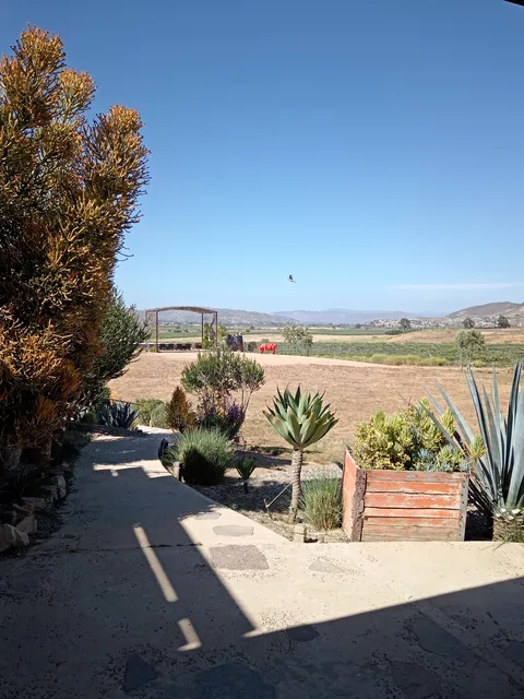 Finca Altozano image 6