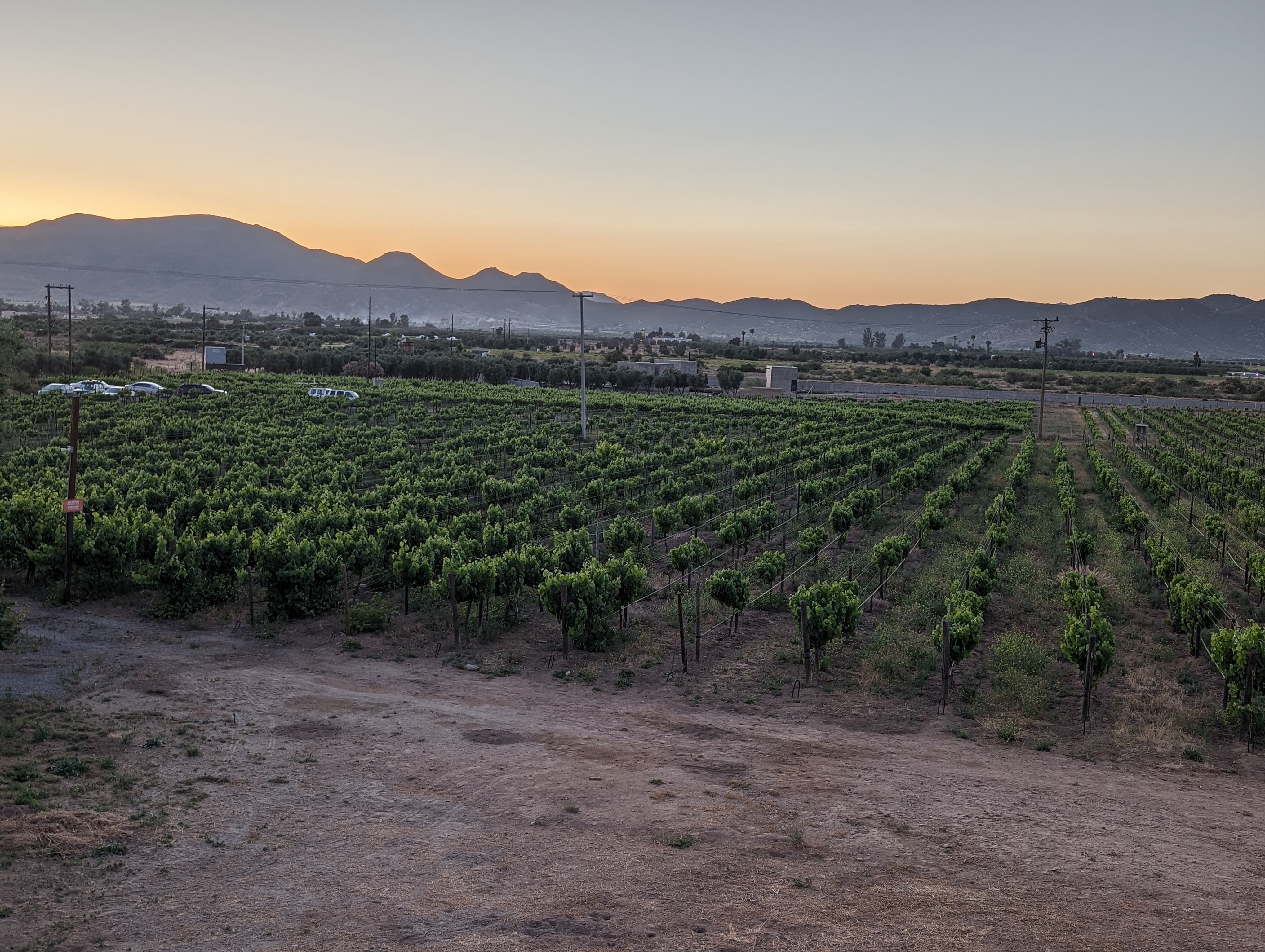 Finca Altozano image 9