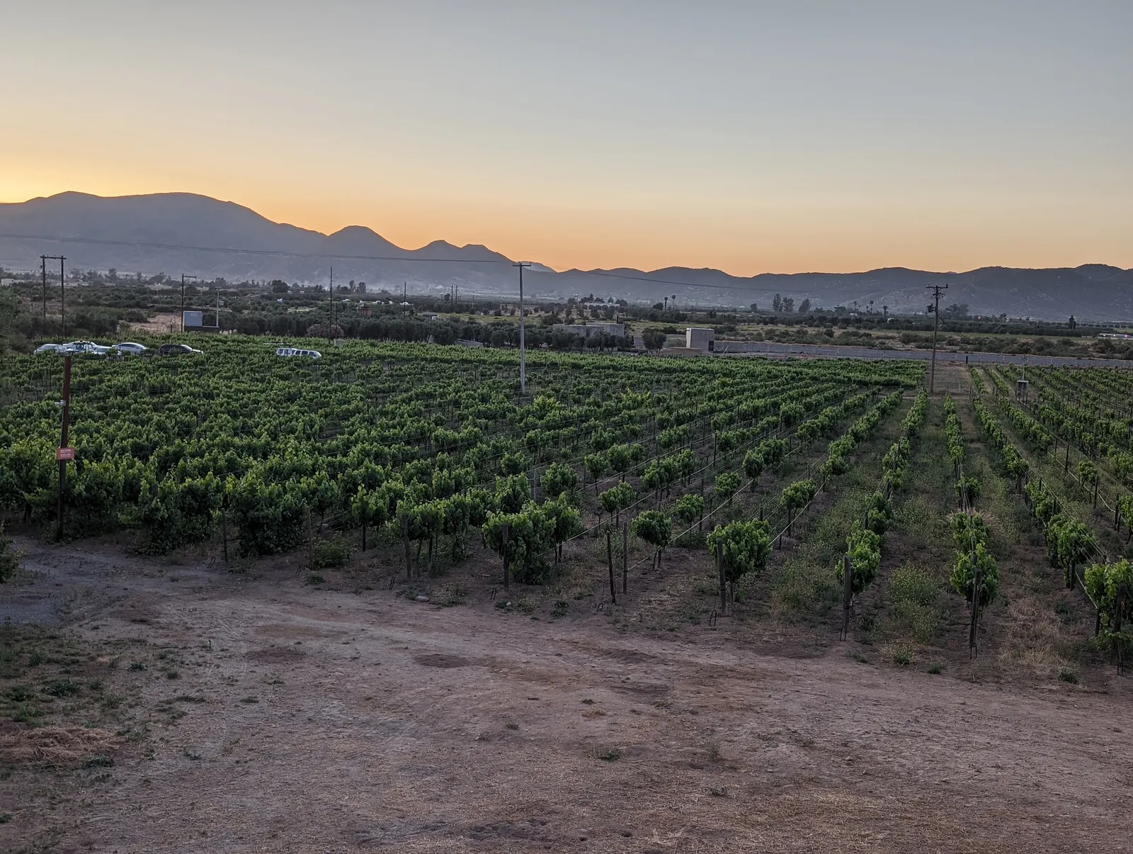 Finca Altozano image 9