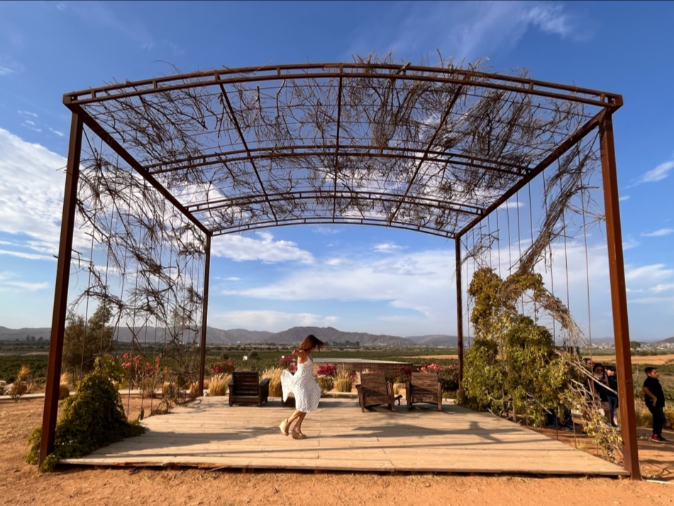 Finca Altozano image 10