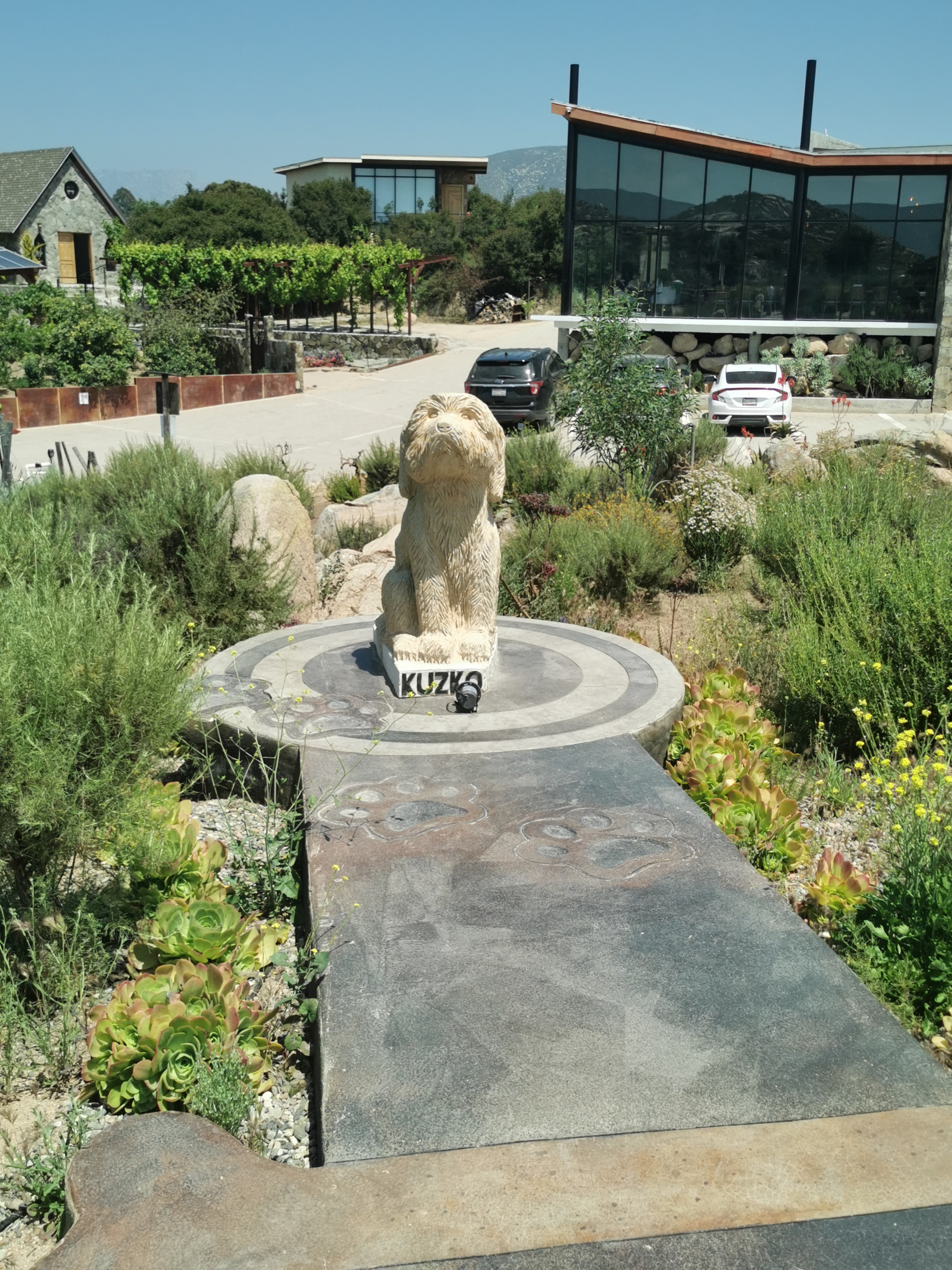 Salvia Blanca Cocina image 7