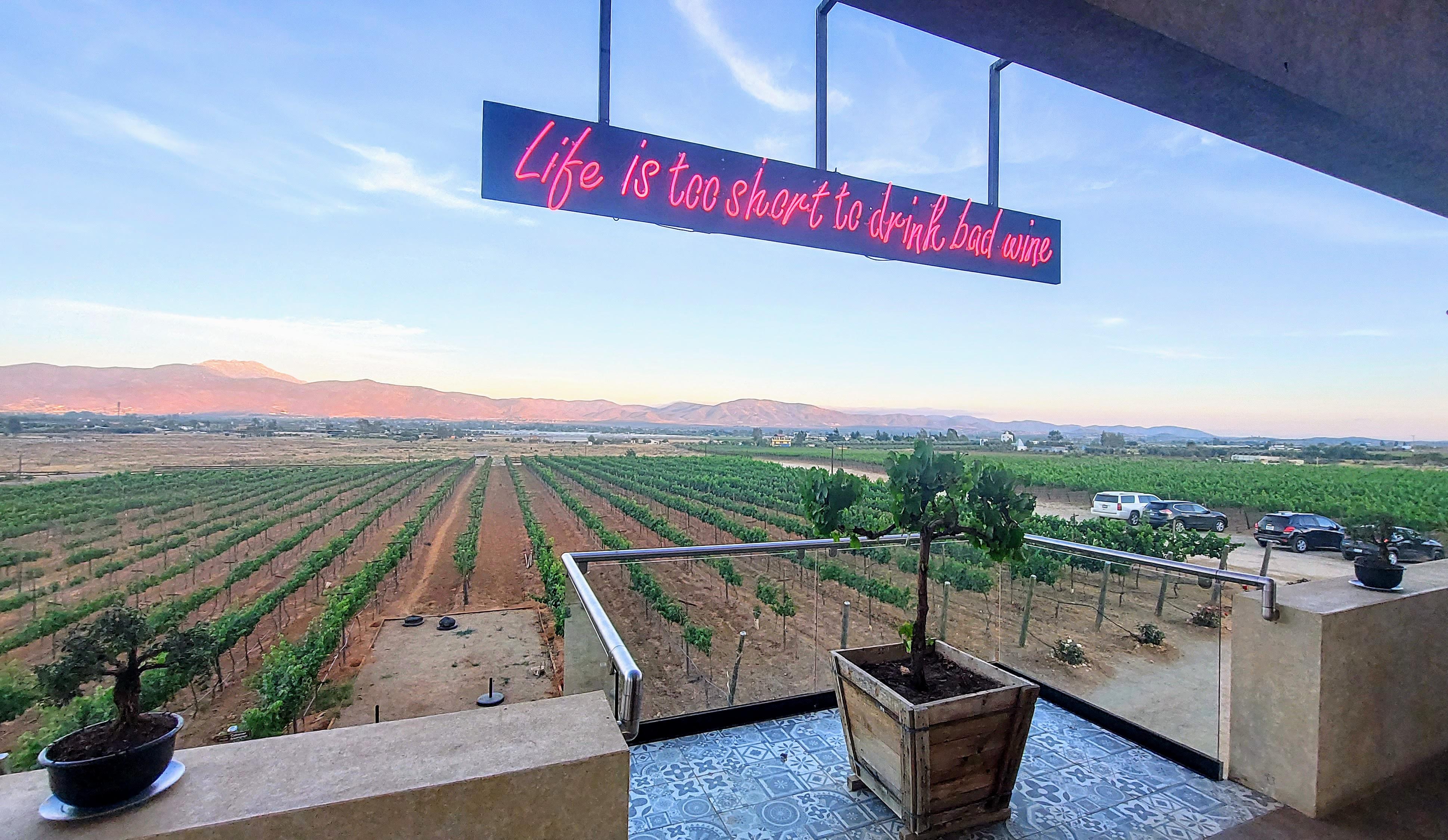 Matilde del valle image 4