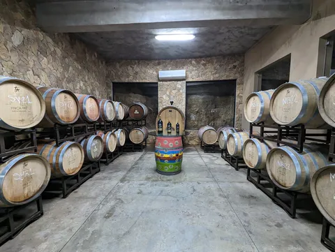 Matilde del valle image 6