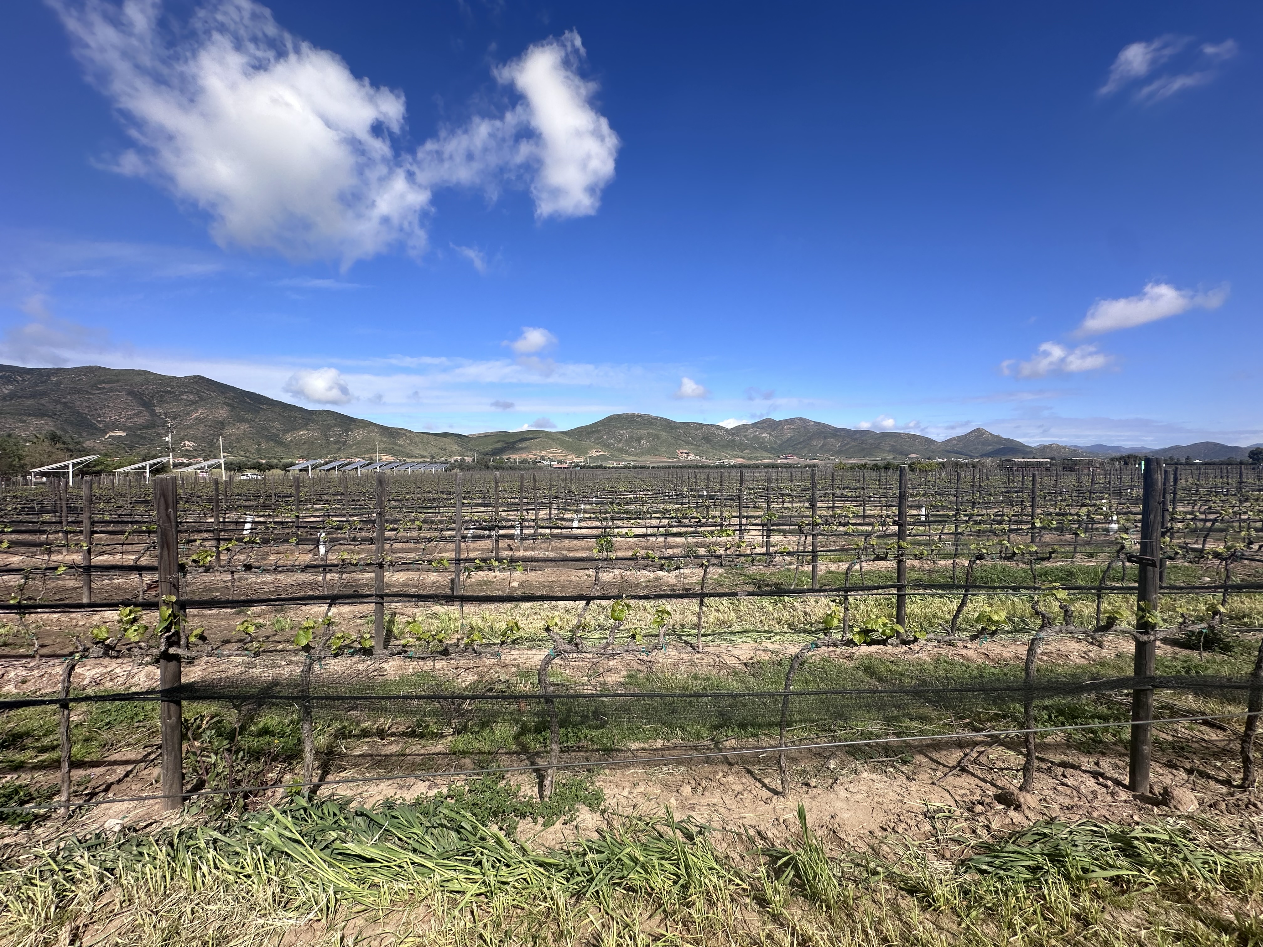 Restaurante Latitud 32, Valle de Guadalupe image 4