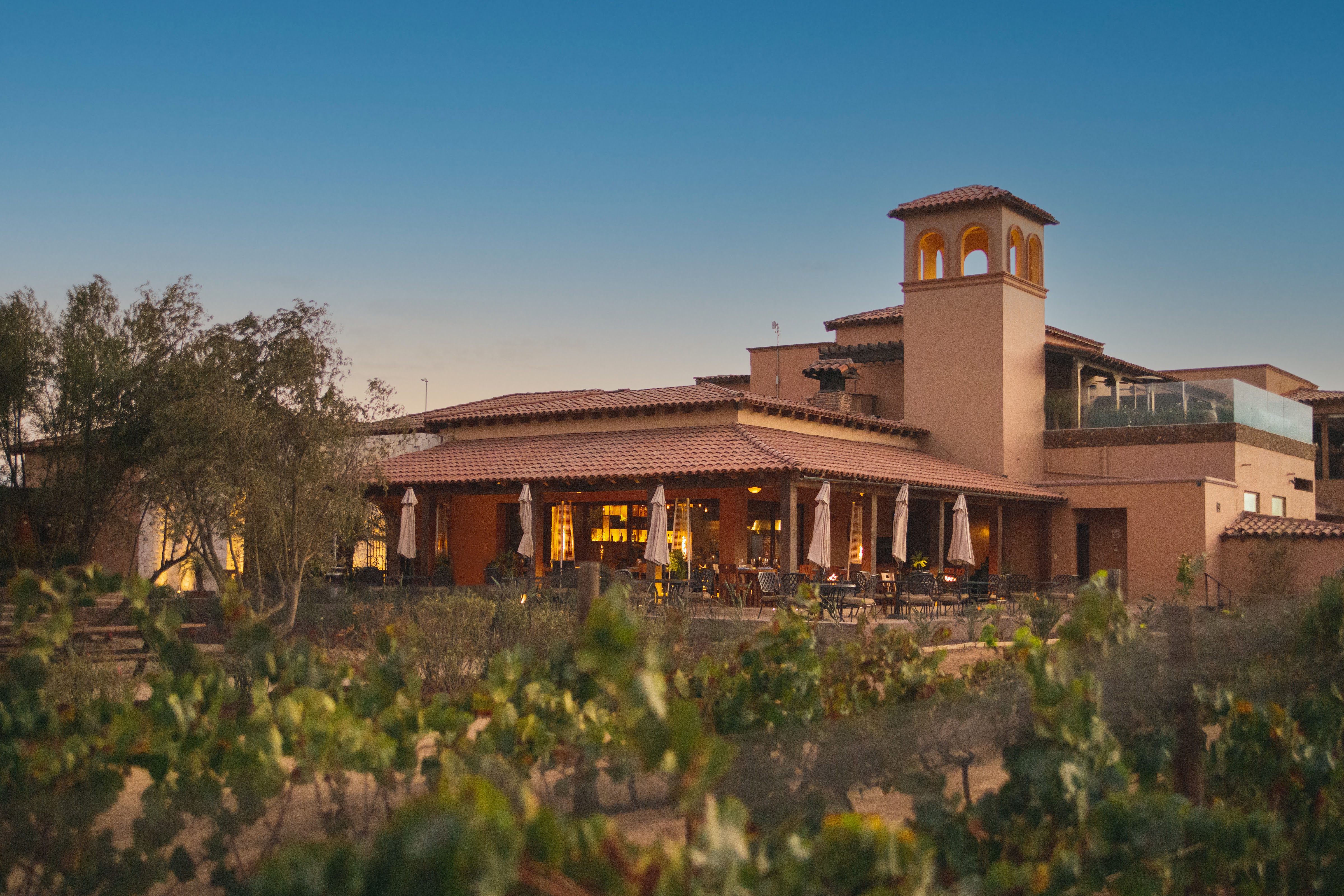 Restaurante Latitud 32, Valle de Guadalupe image 6