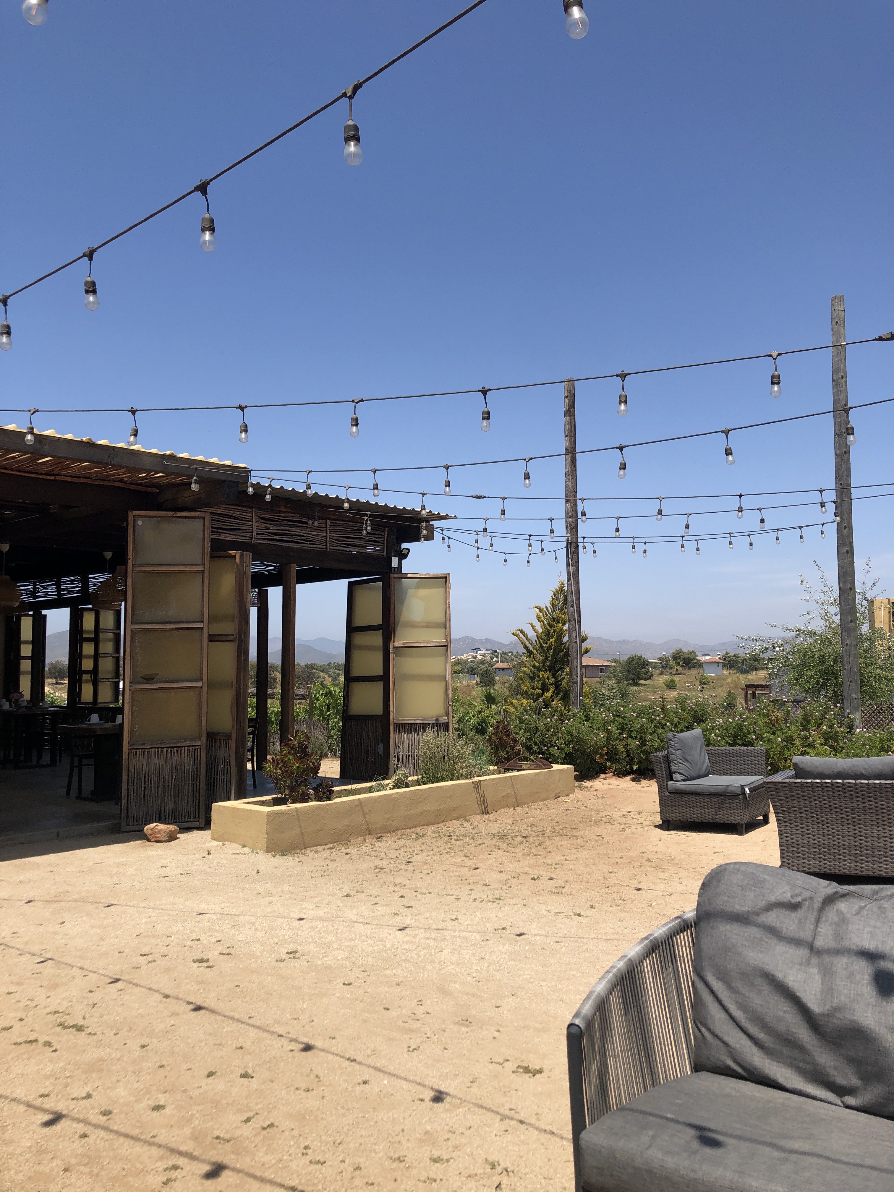 Aruma del Valle image 5