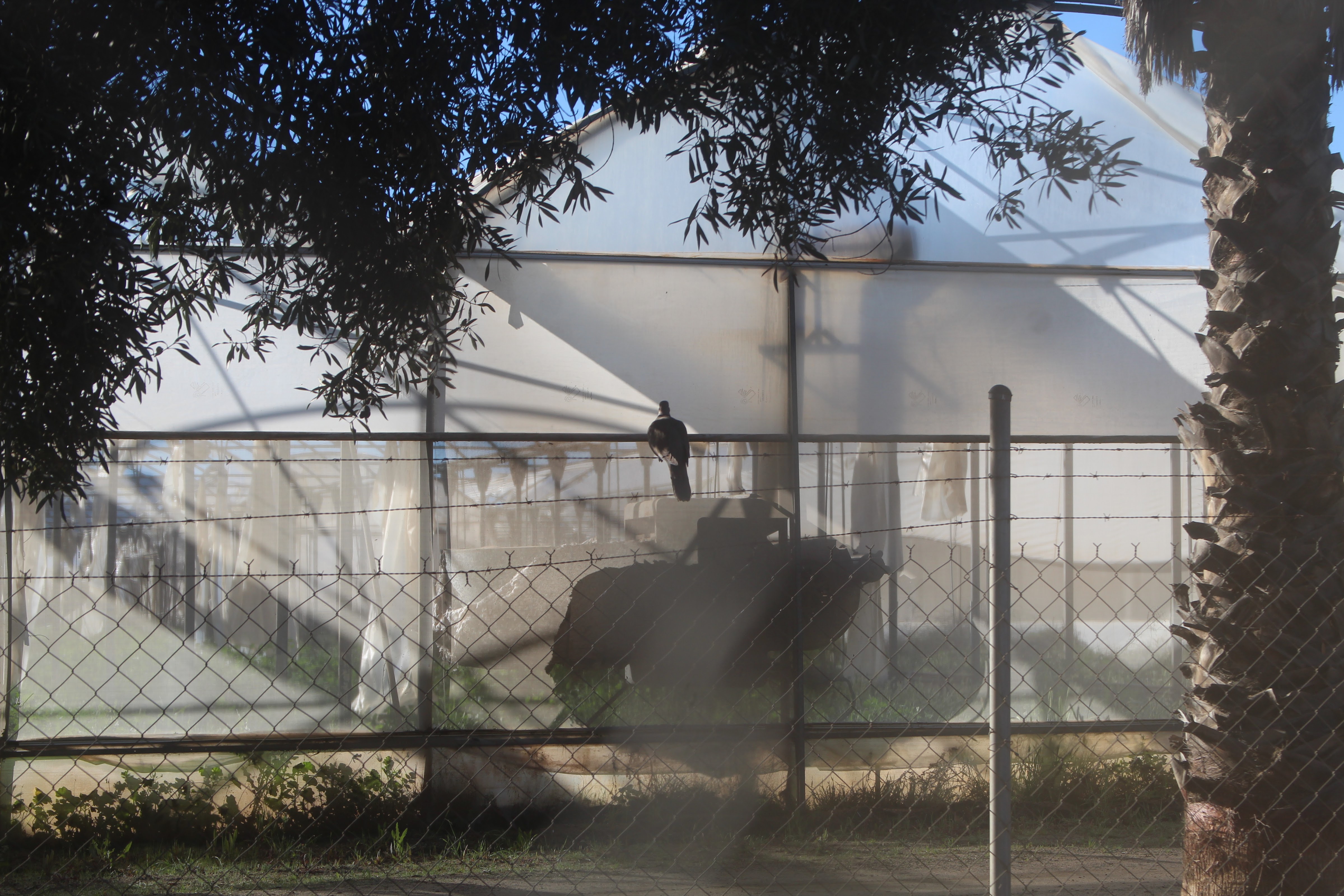 Rancho Gasca image 1