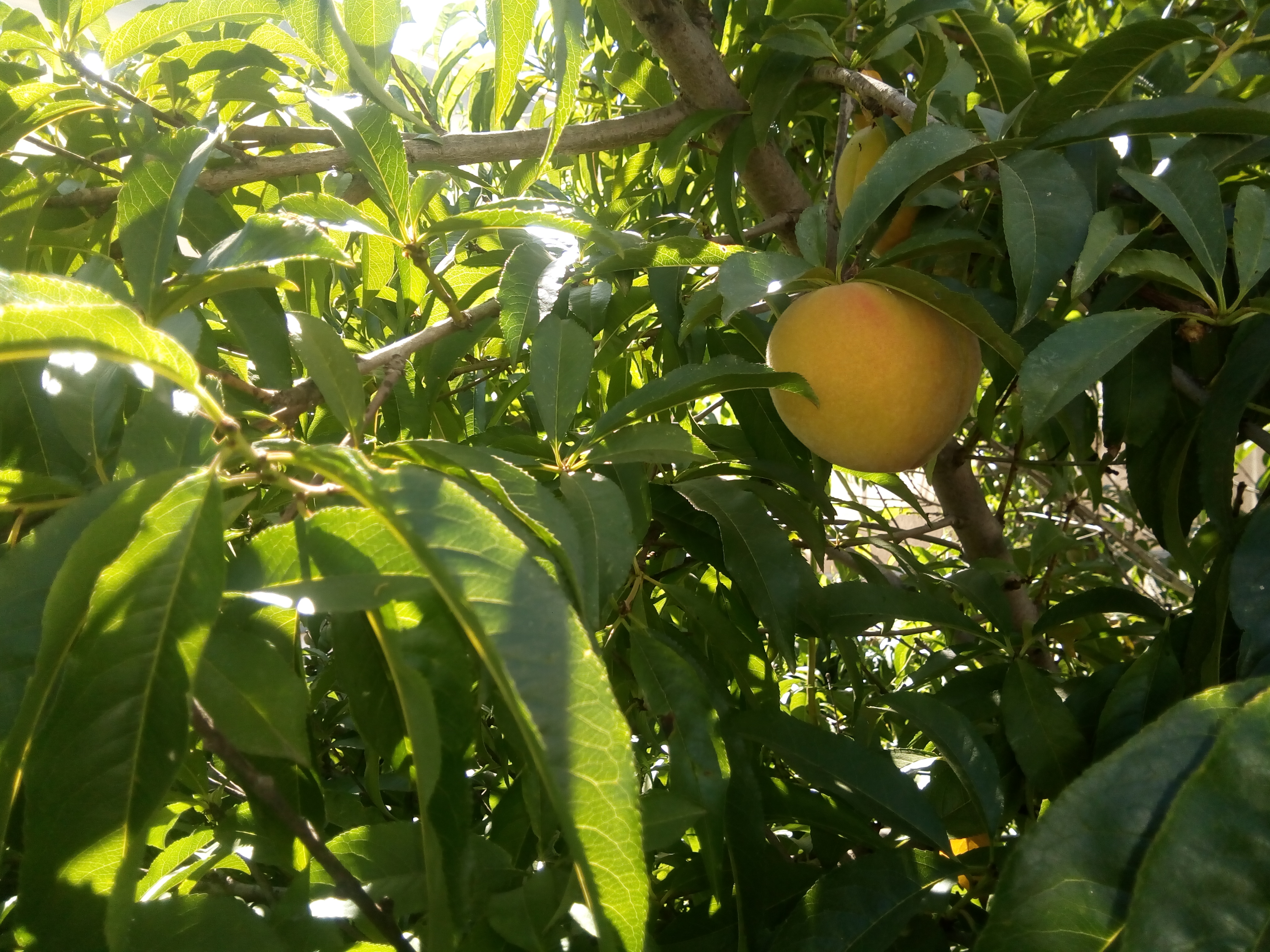 Rancho Gasca image 3