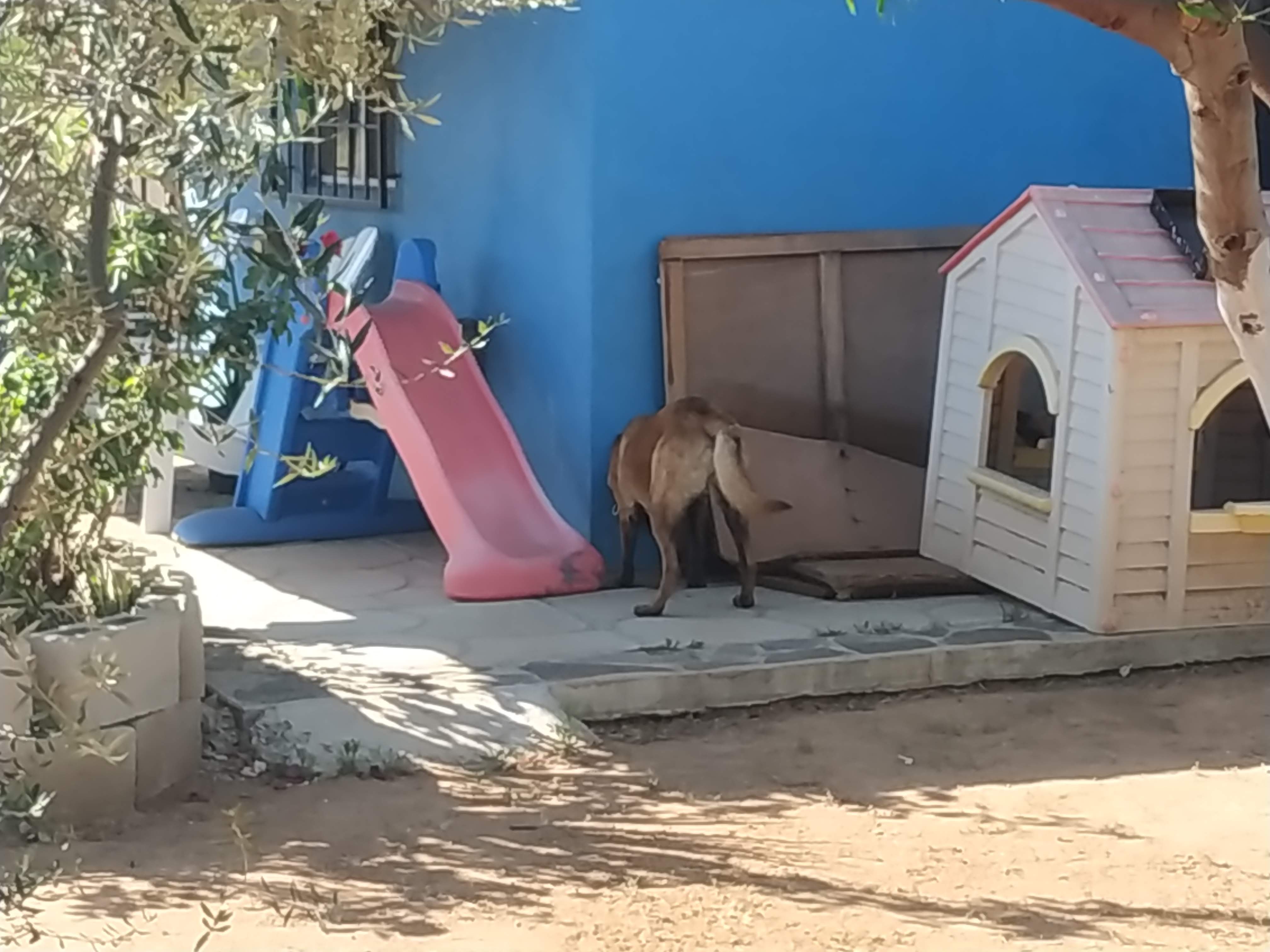 Rancho Gasca image 4