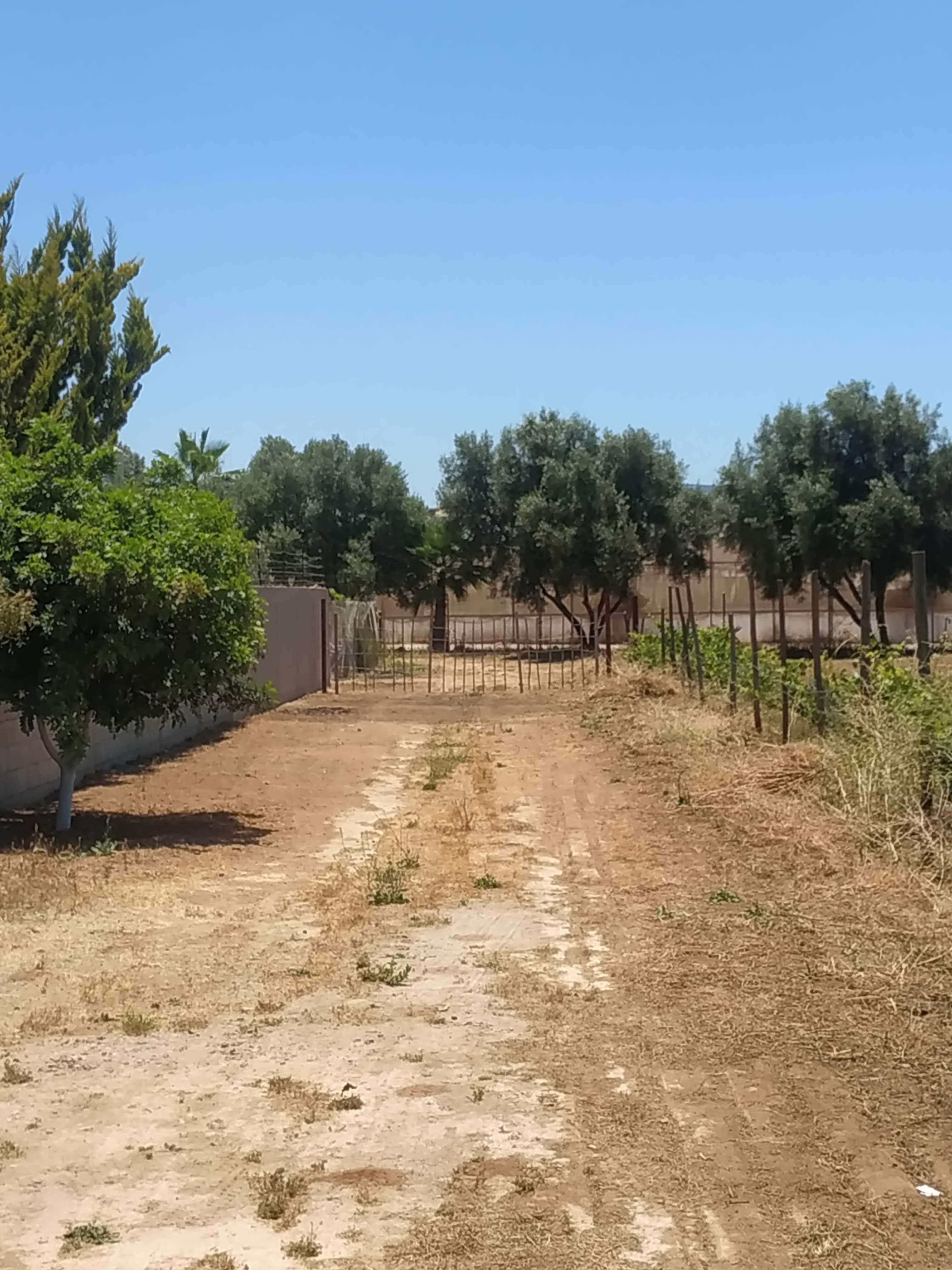 Rancho Gasca image 7