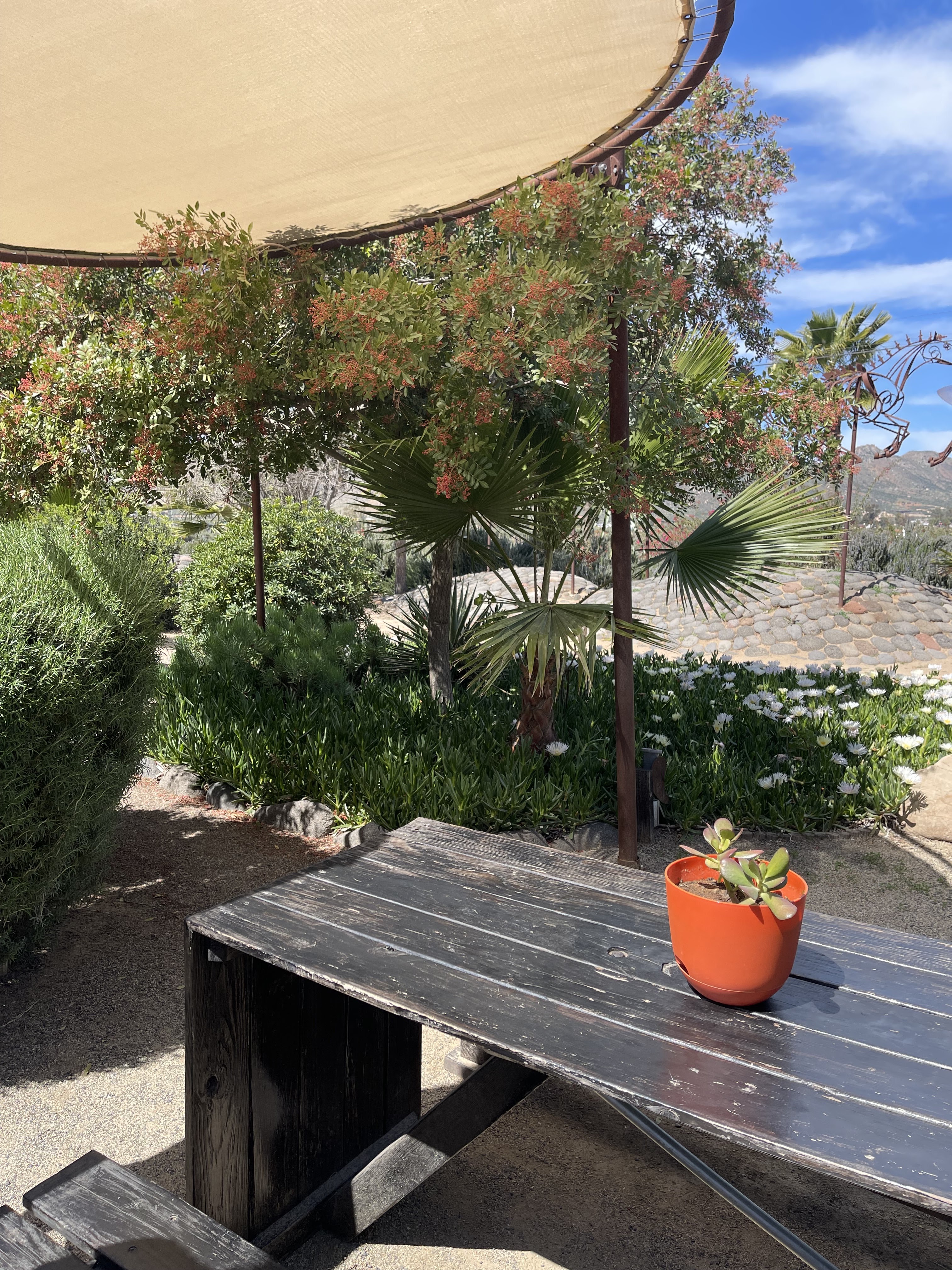 Food Truck Adobe Guadalupe image 1