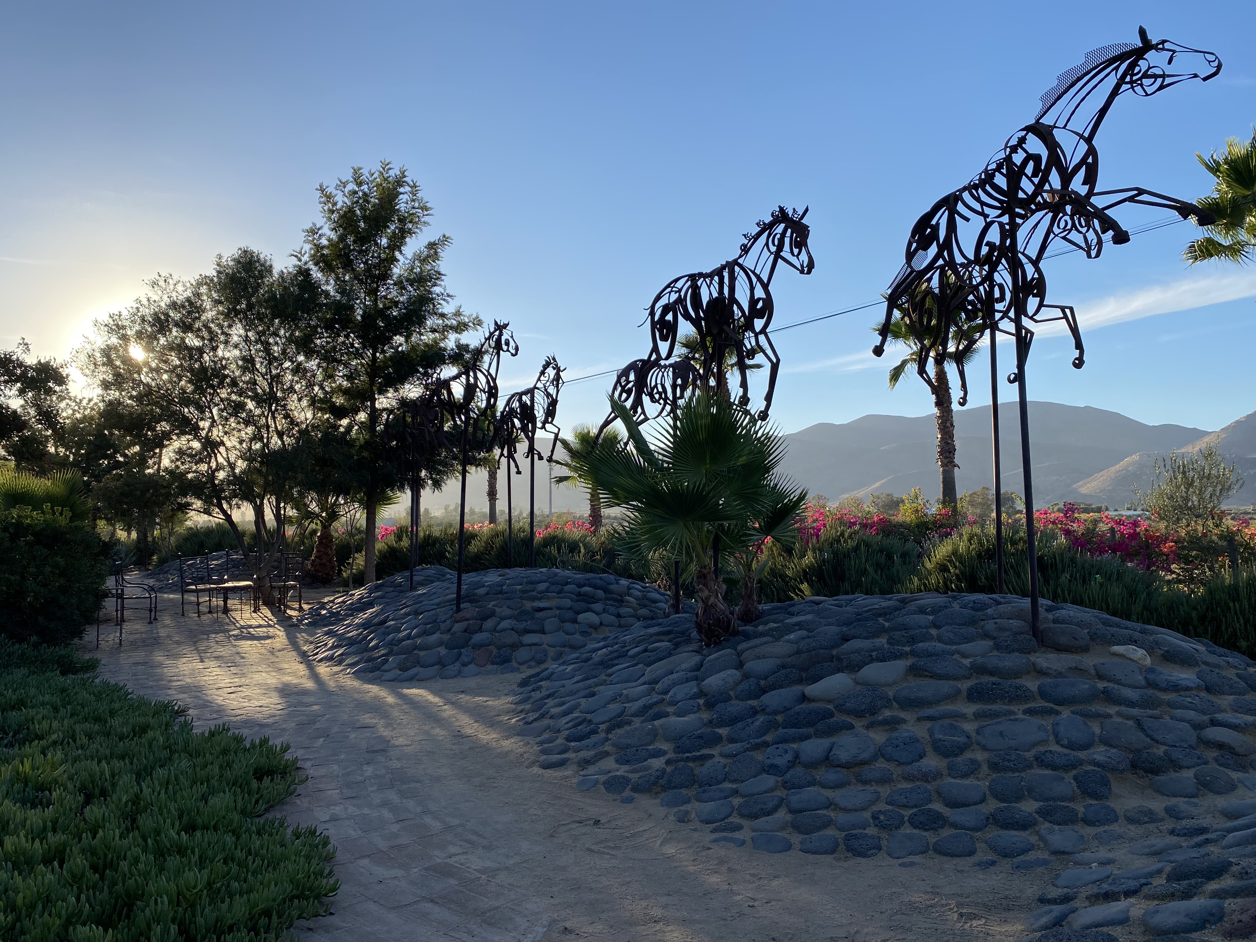 Food Truck Adobe Guadalupe image 6