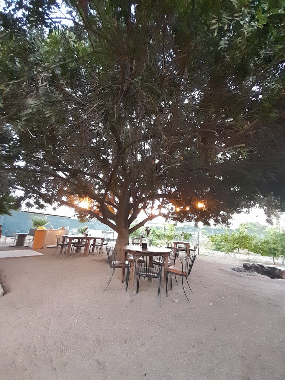 Taquería Dos amigos image 4