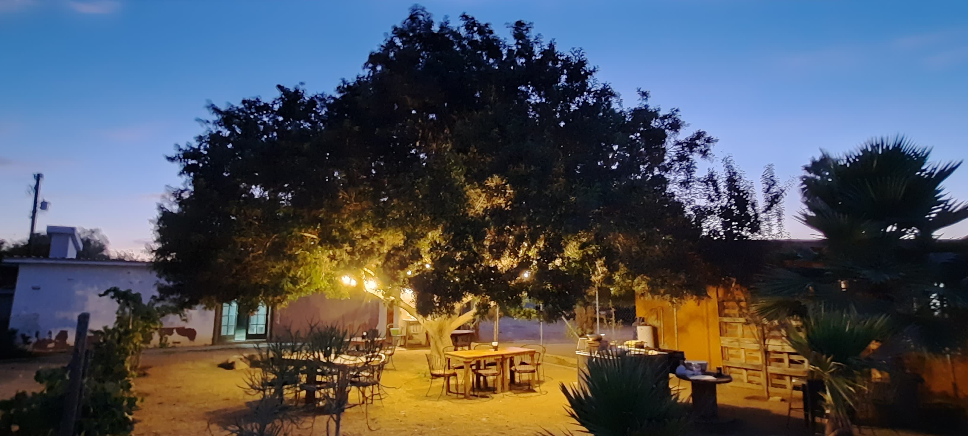 Taquería Dos amigos image 6