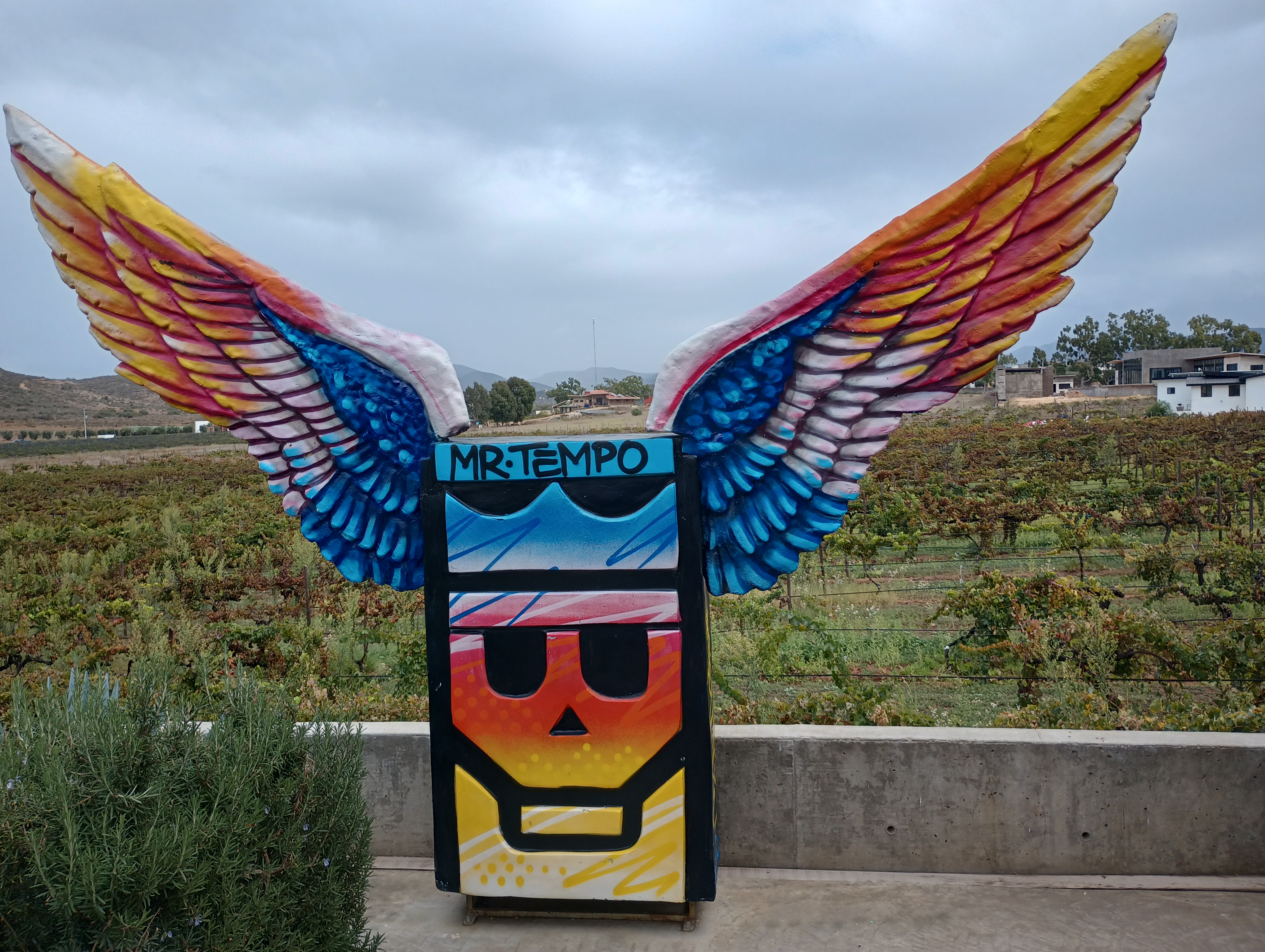 King and Queen Cantina Valle de Guadalupe image 4
