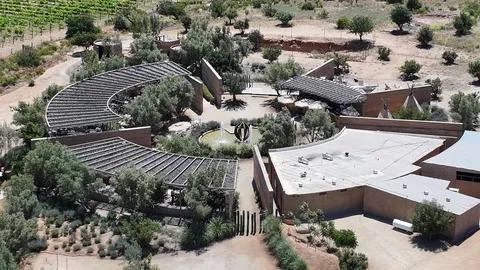 Ojá Valle image 4