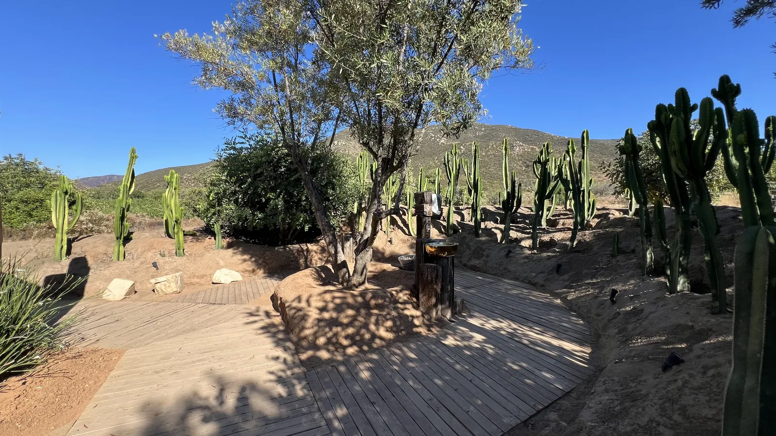 Ojá Valle image 6