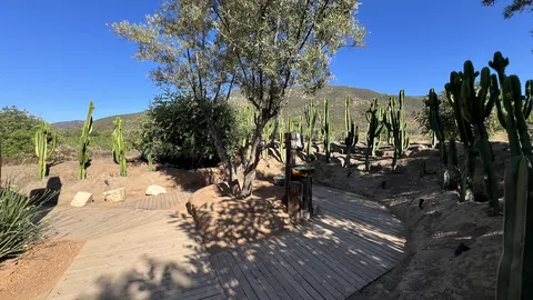 Ojá Valle image 6
