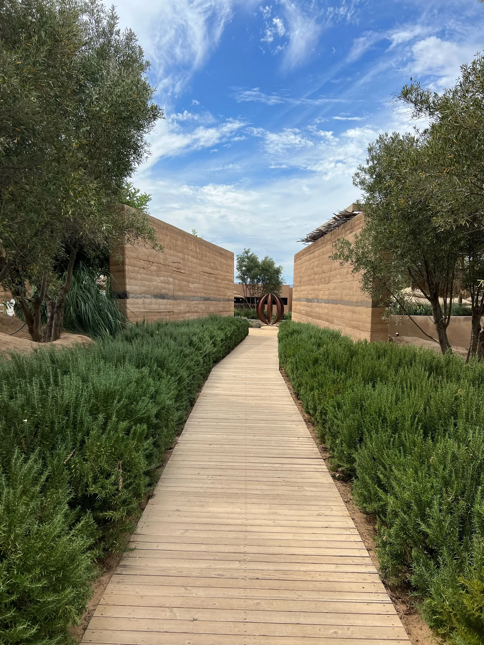 Ojá Valle image 8