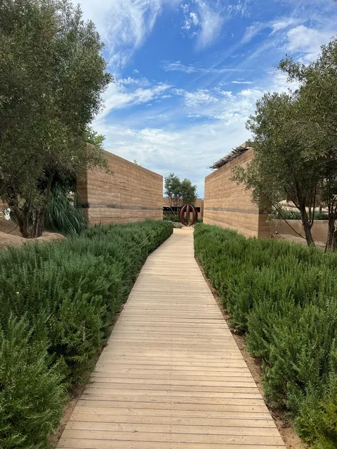 Ojá Valle image 8