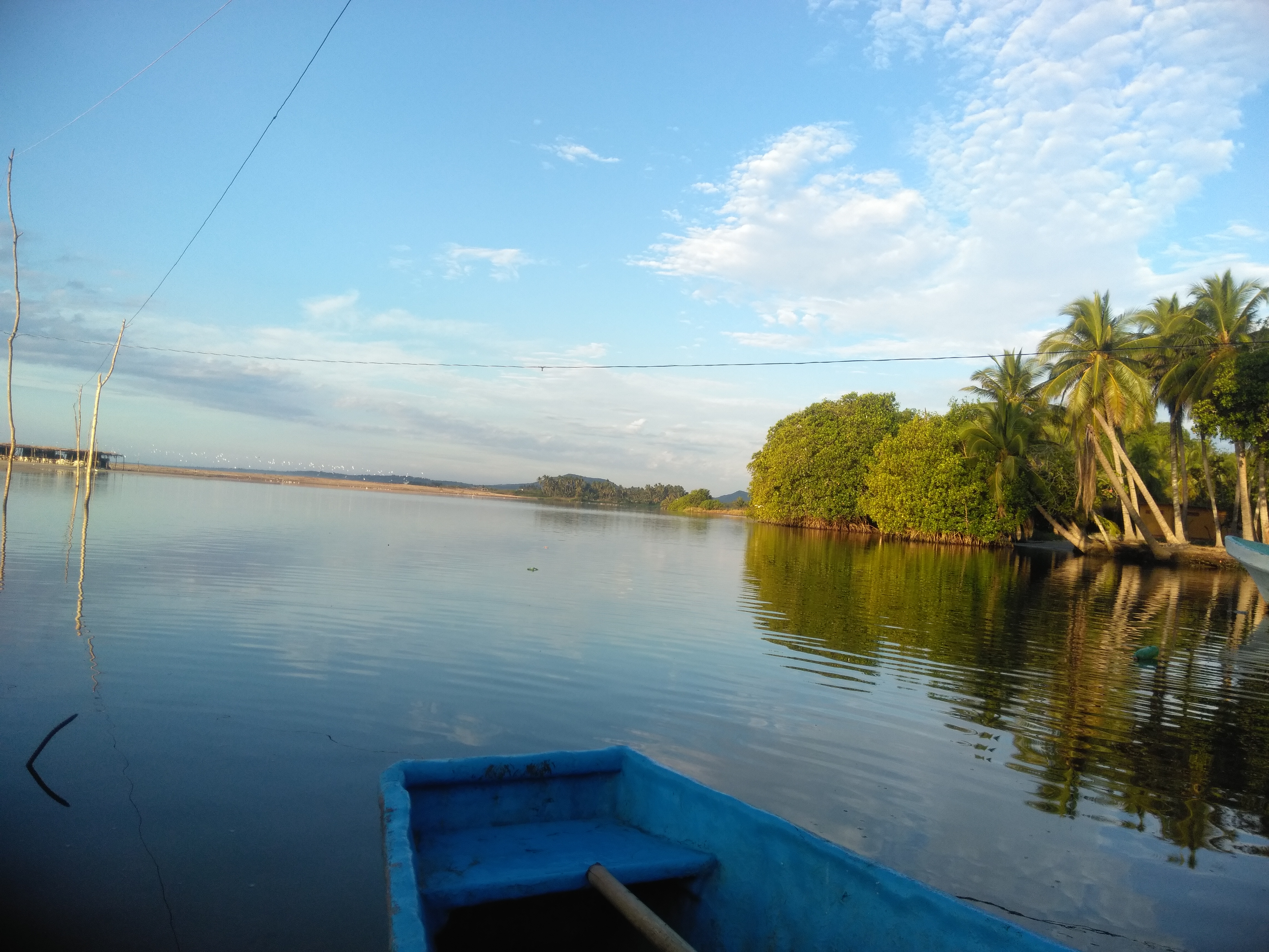 Palapa "Vivian Jimena" image 3