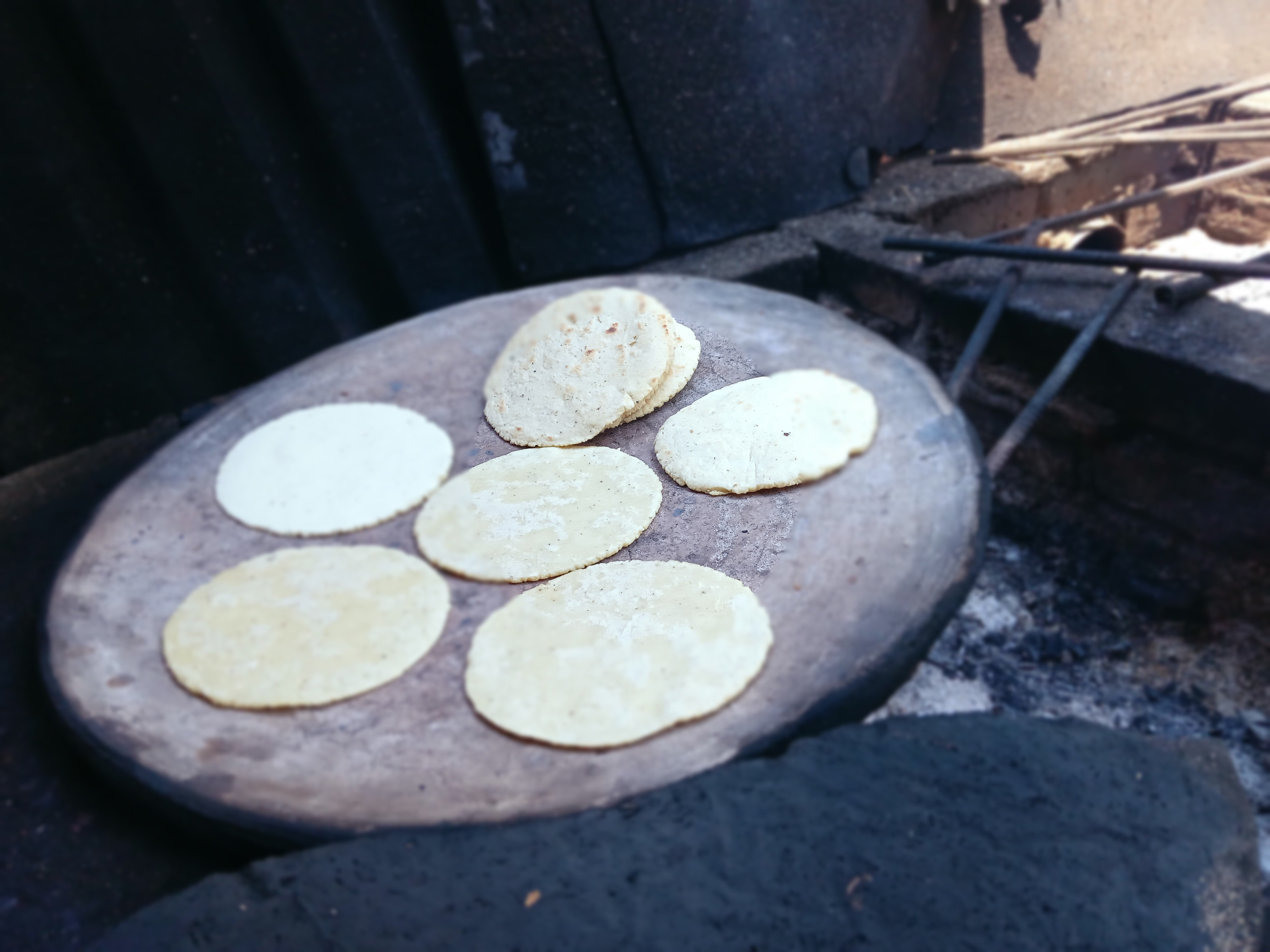 Palapa "Vivian Jimena" image 4