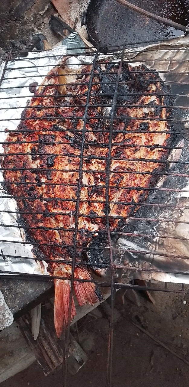 Palapa "Vivian Jimena" image 7