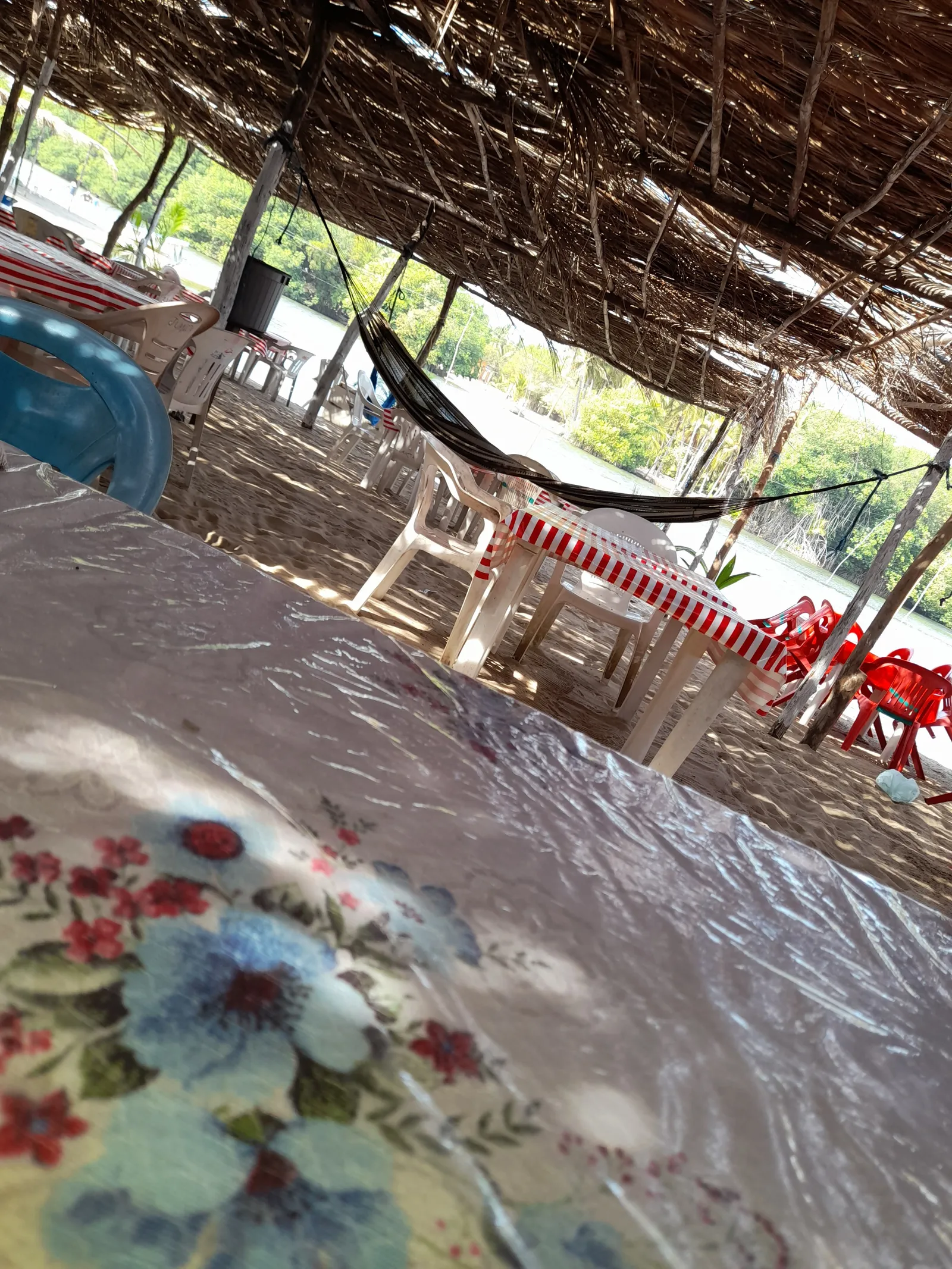 Palapa "Juanita" image 4