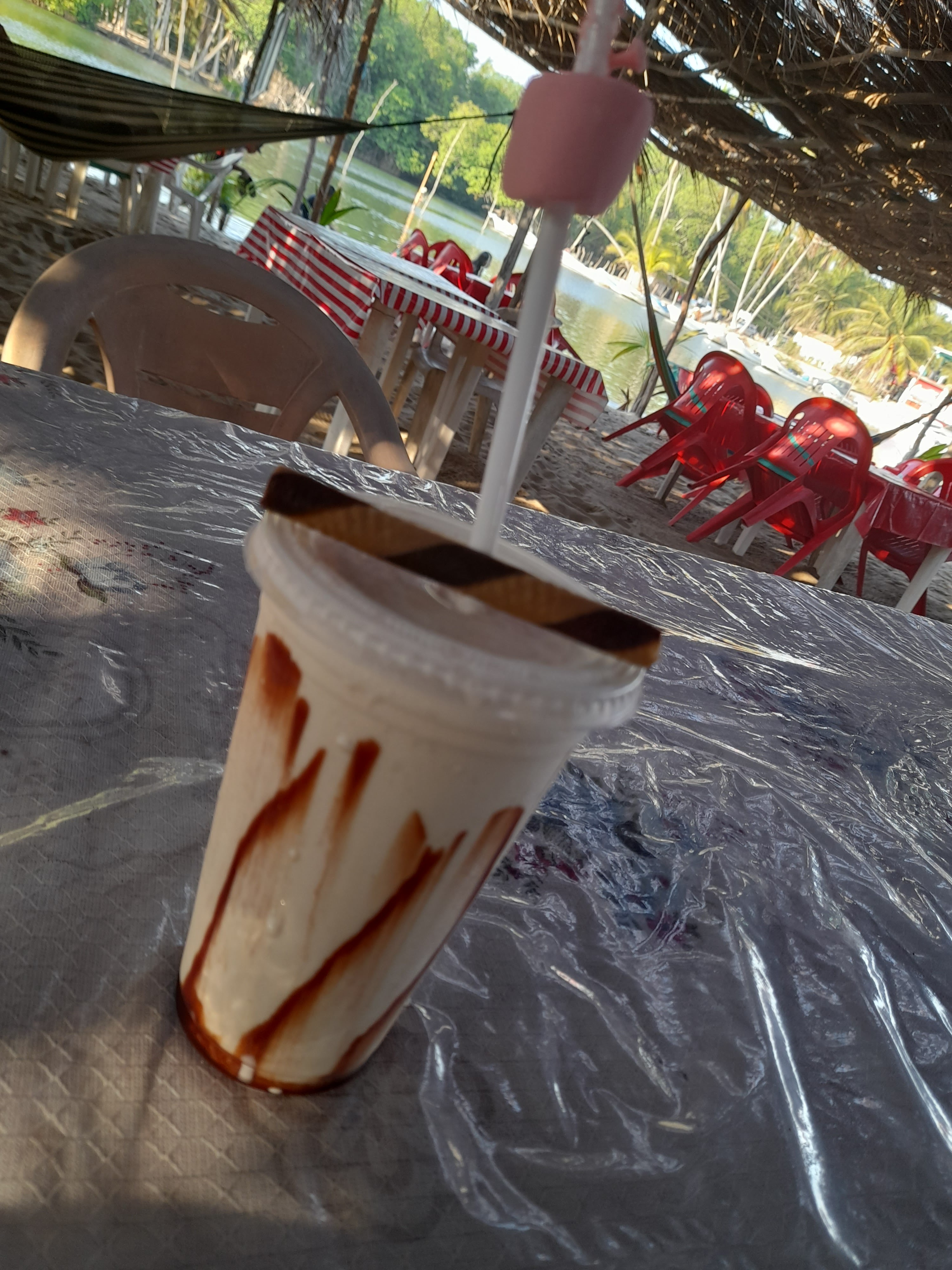 Palapa "Juanita" image 5