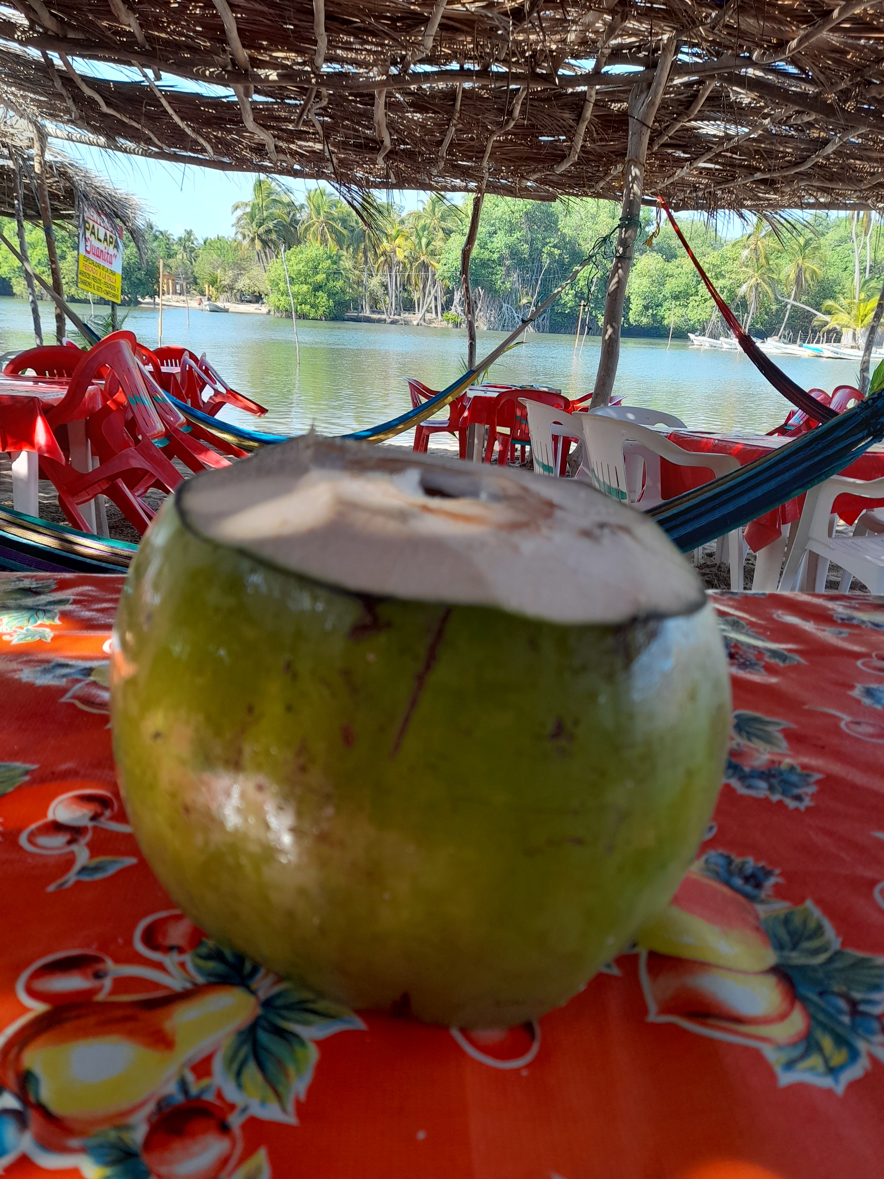 Palapa "Juanita" image 6