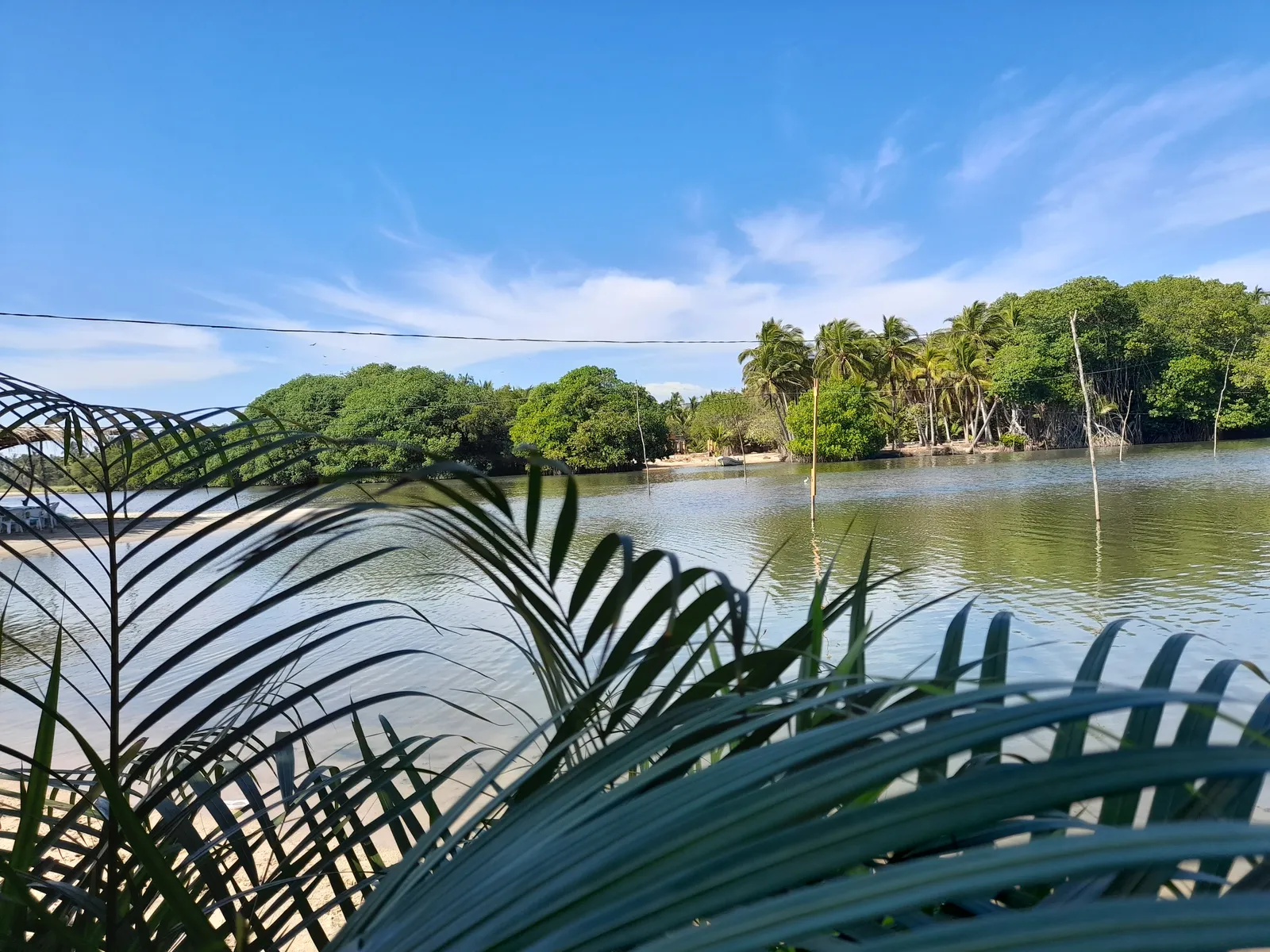Palapa "Juanita" image 10