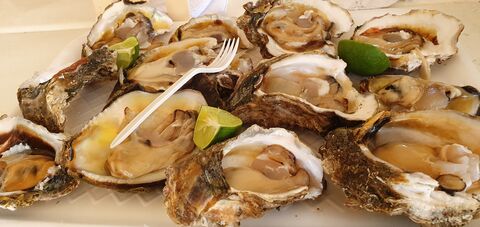 Mariscos Jimmy image 1