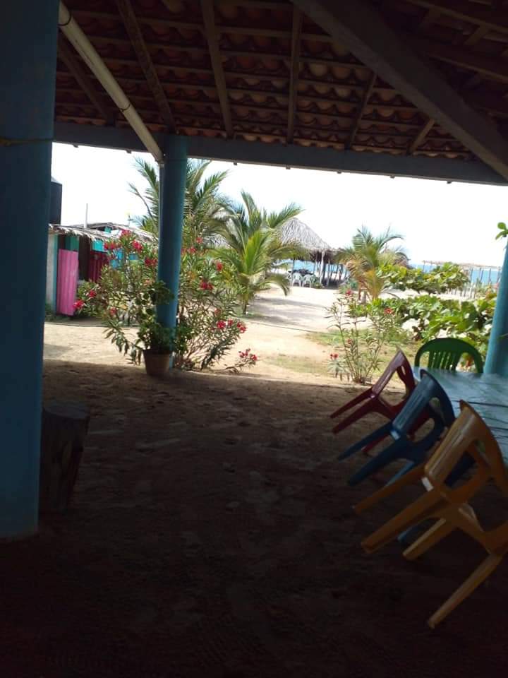 Pulpo loco image 2