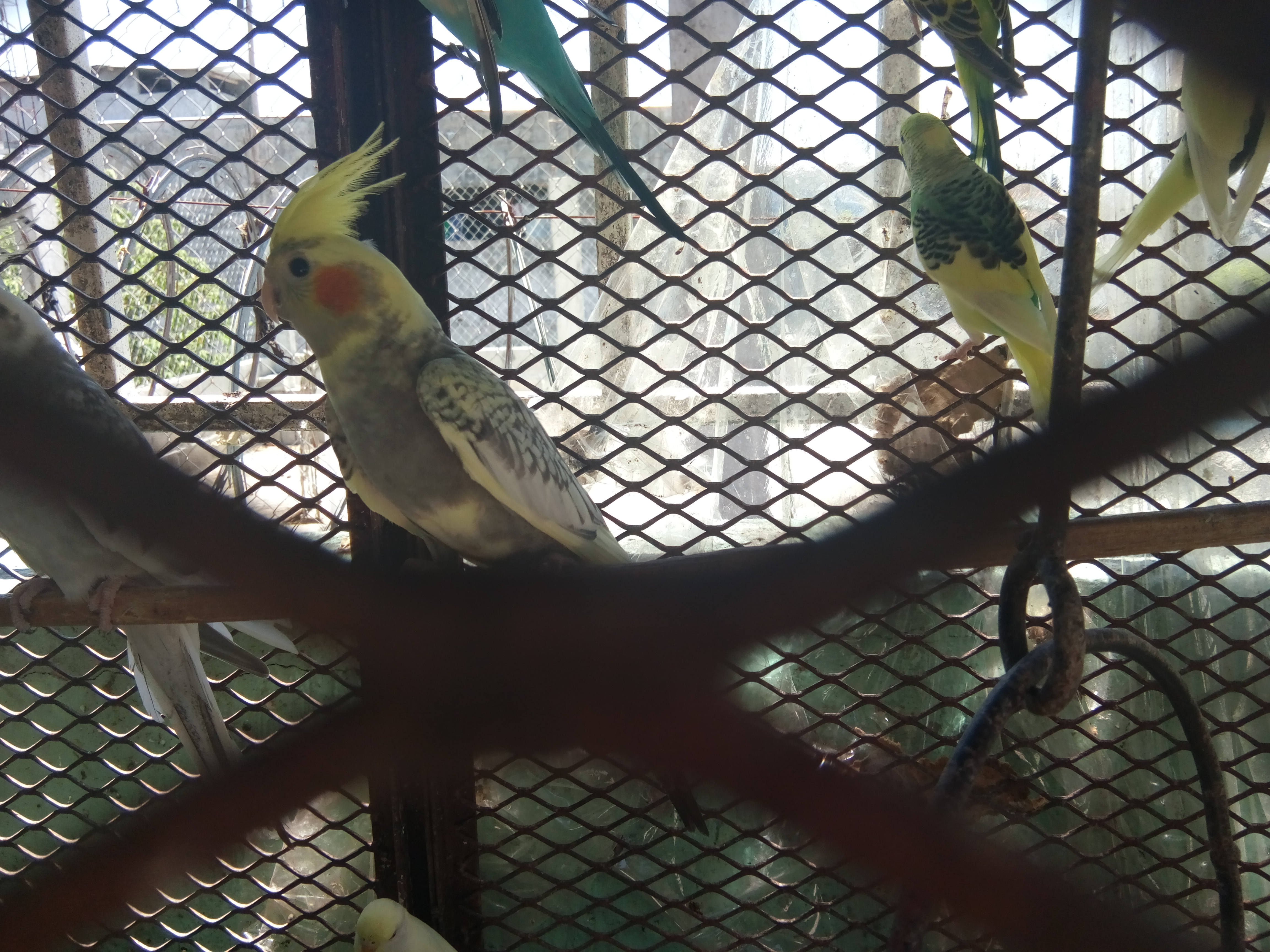 Pescadería El Castaño image 10