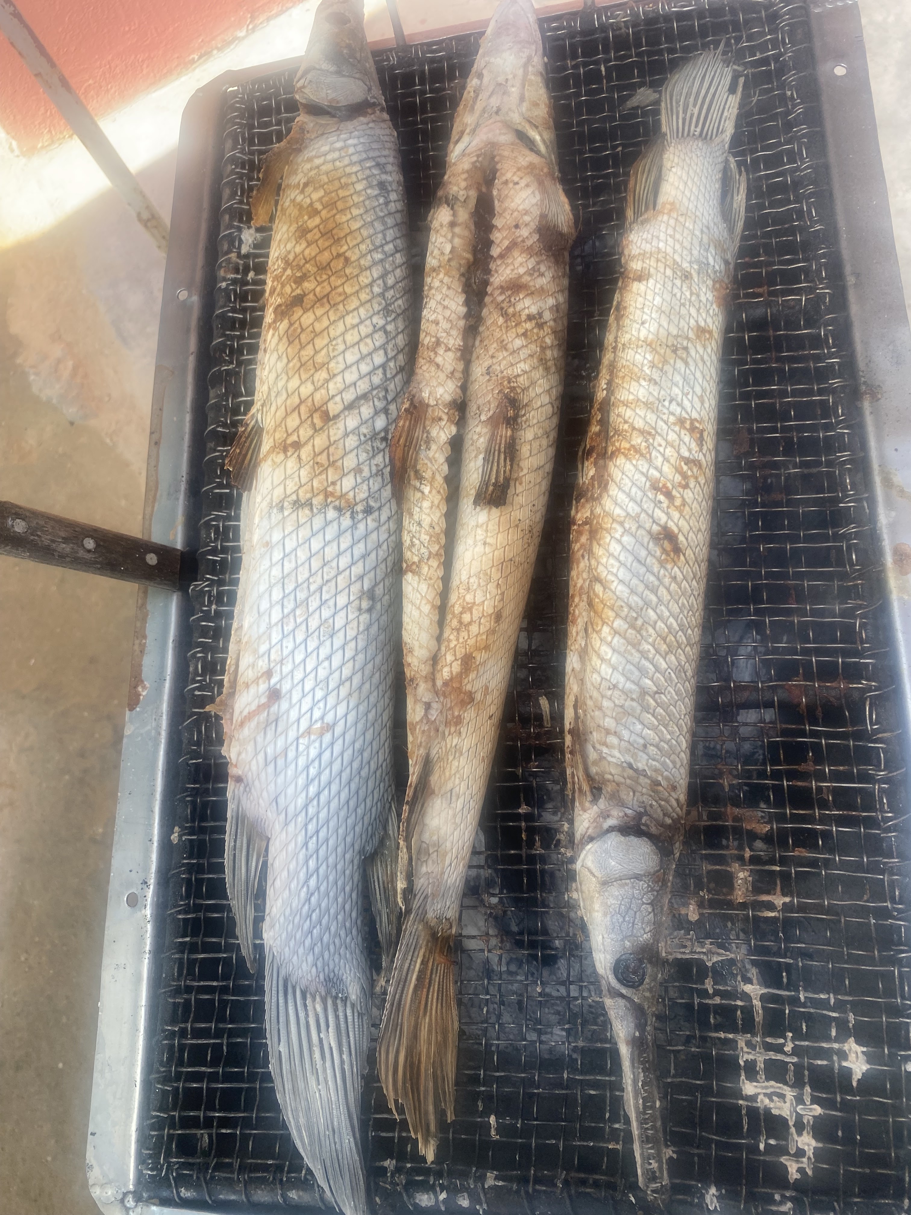 PESCADERIA "LOS REYES" image 4