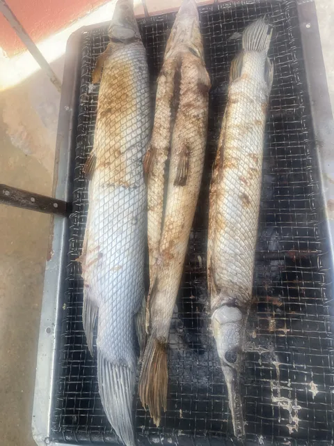 PESCADERIA "LOS REYES" image 4