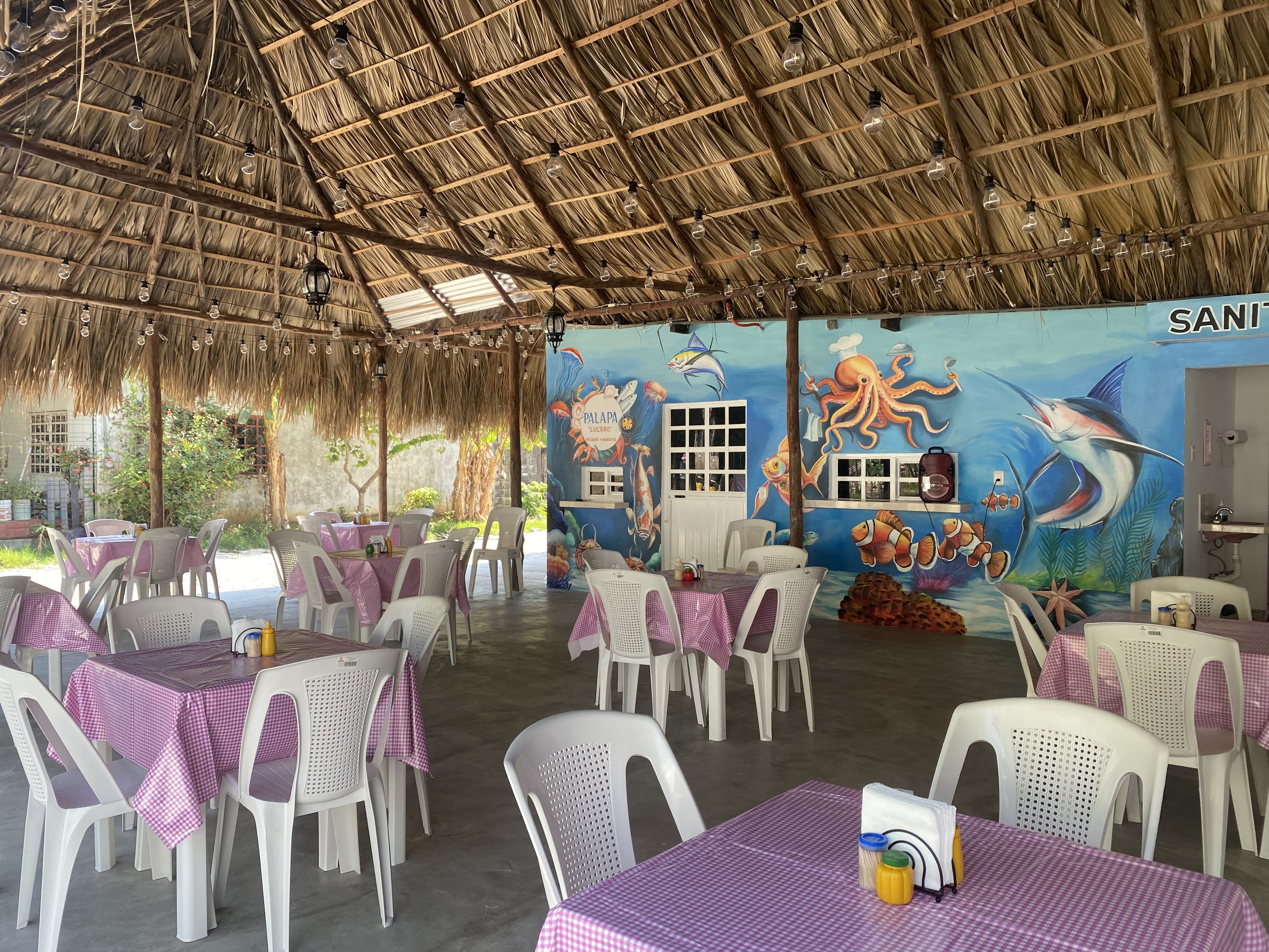 Palapa "Lucero" image 1