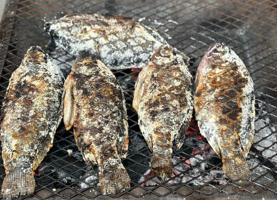 Palapa "Lucero" image 2