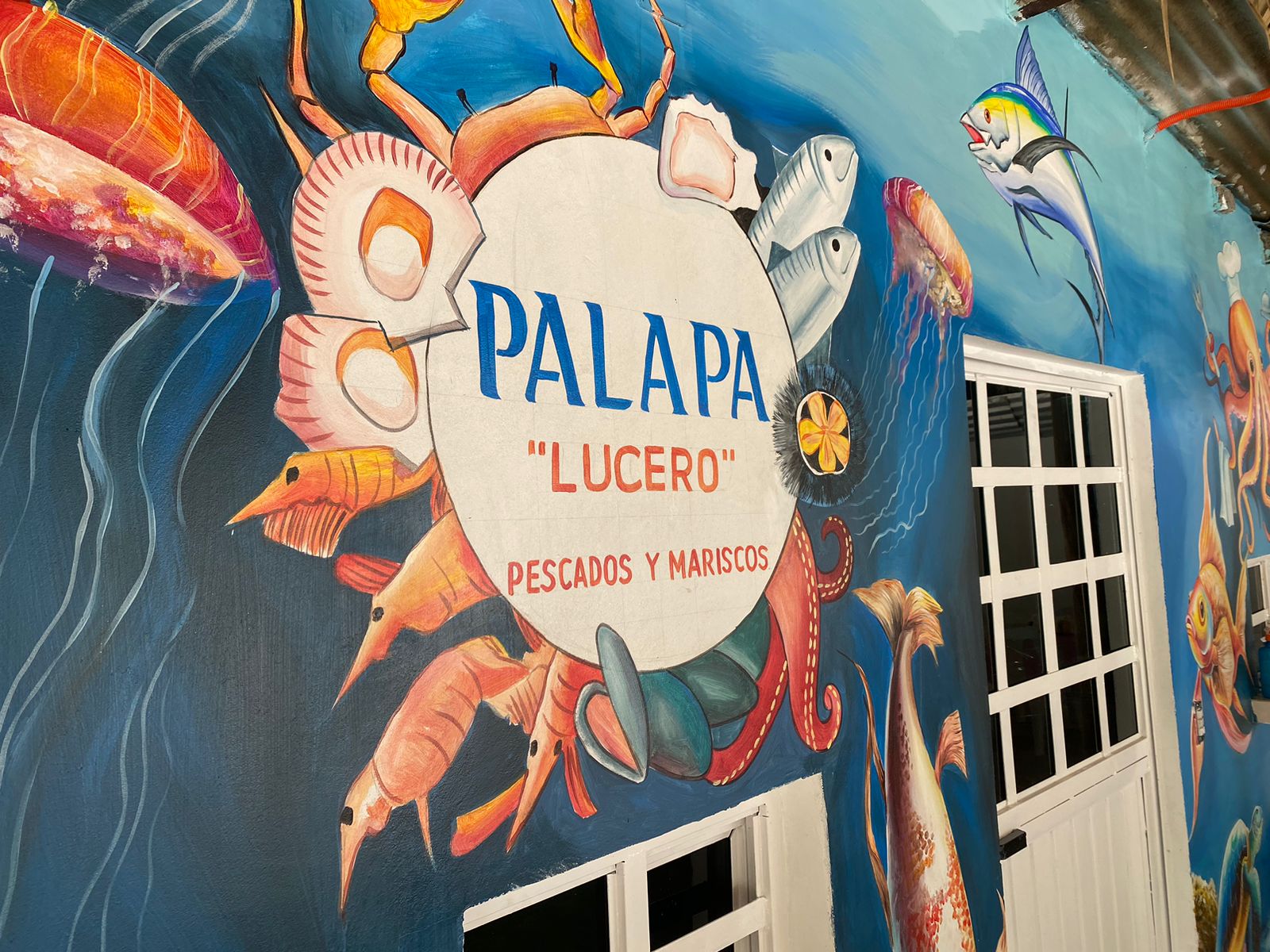 Palapa "Lucero" image 3