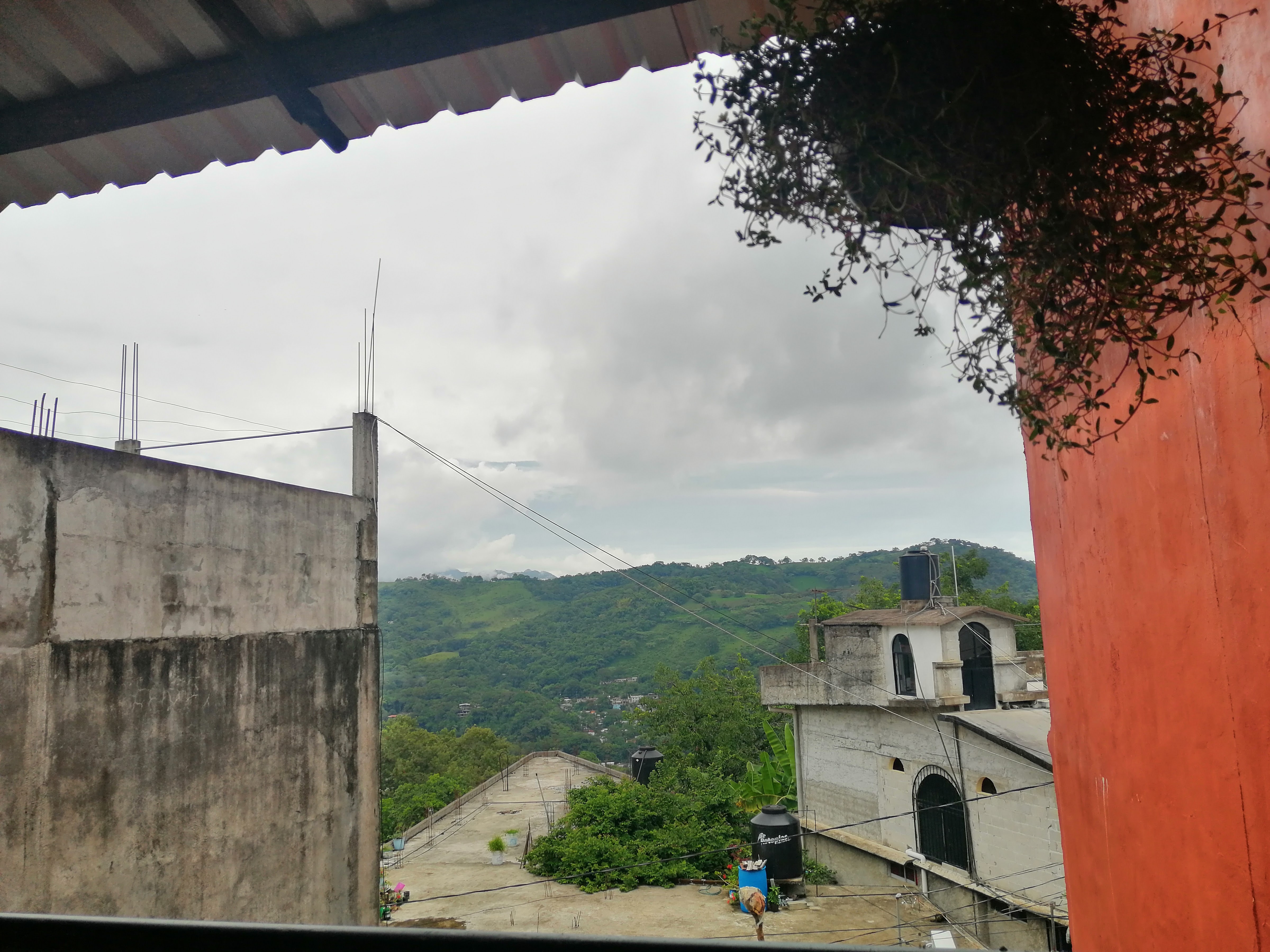 Wings Restaurant image 4